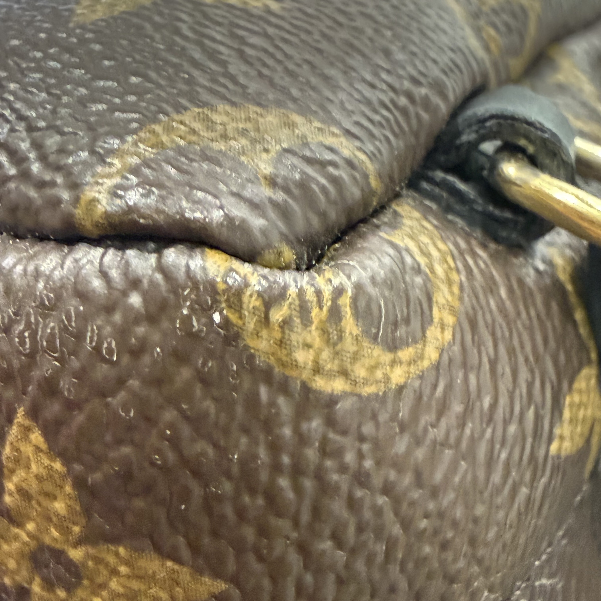 image_172B65BB-61E1-4F18-8AE7-85DE4BB16026_1765706733