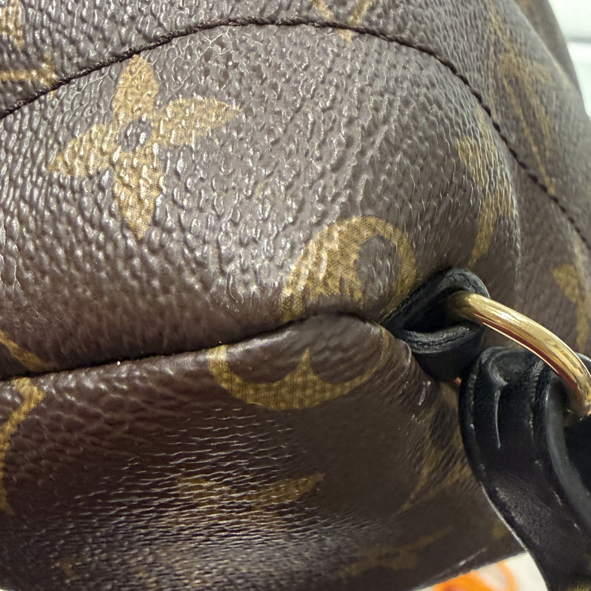 image_A9068546-AA70-40E3-B760-3FBEED404600_1765706737