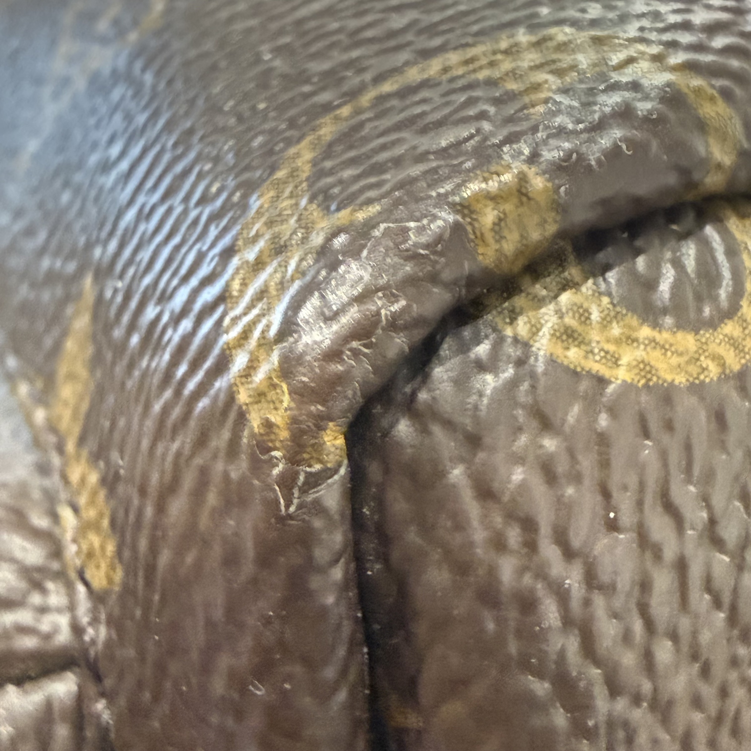 image_BE5D7792-8361-479E-ACF2-0492E2F85178_1765706739