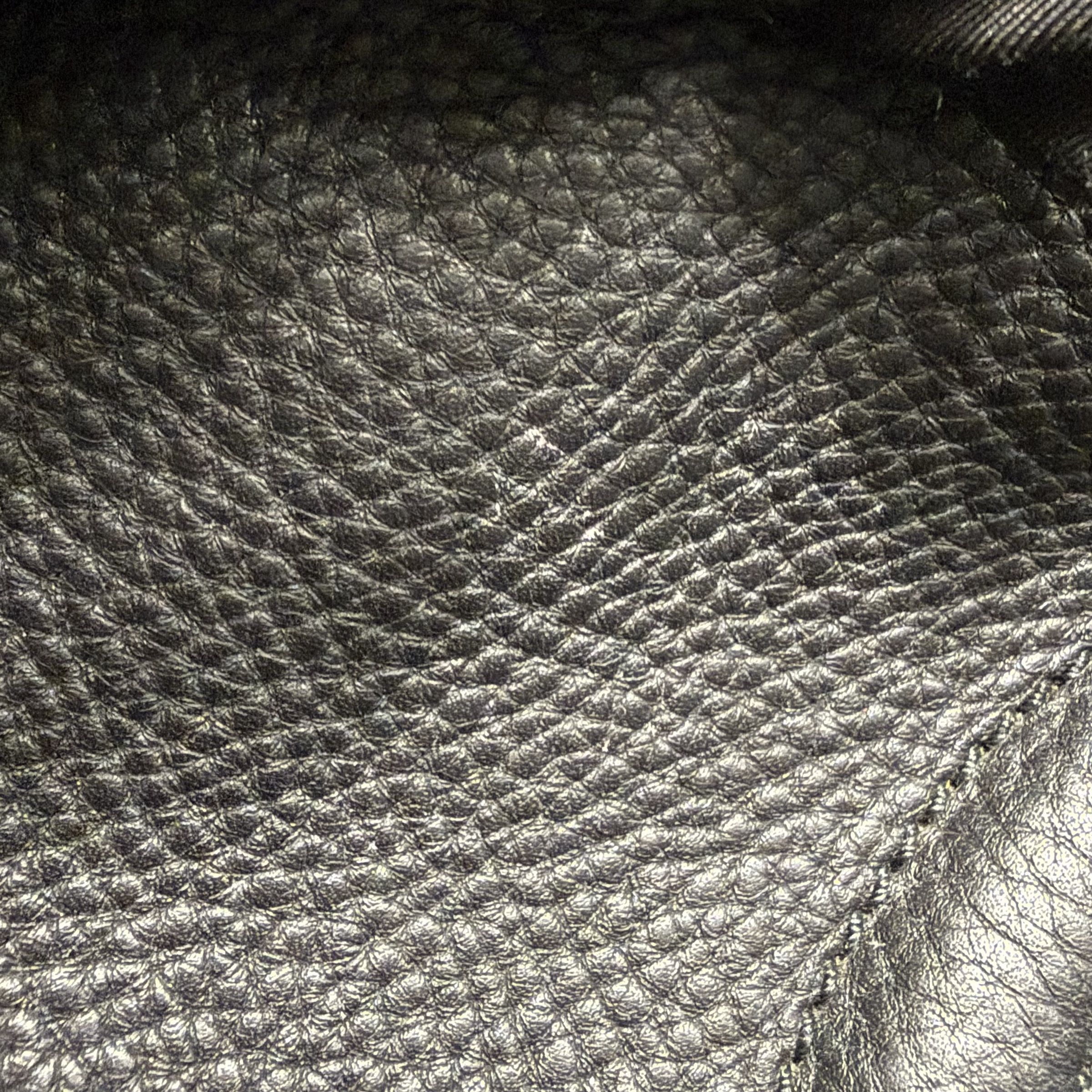 image_D9F2CE24-CE2E-41A4-81AE-10E941BD53F6_1766052920