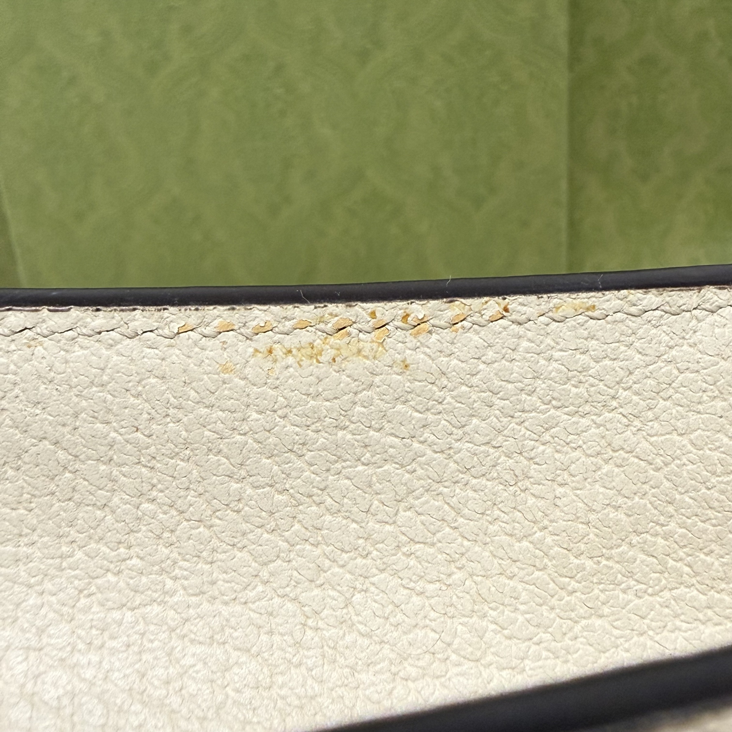 image_A6E22102-F9D0-4039-80AA-3DE216D213A1_1766053205