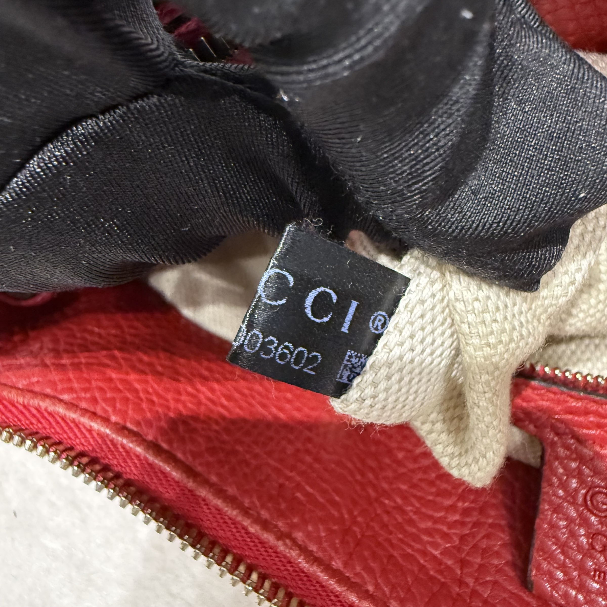 image_1CCC200A-D71A-4DB8-A939-2E521185E35C_1766053424