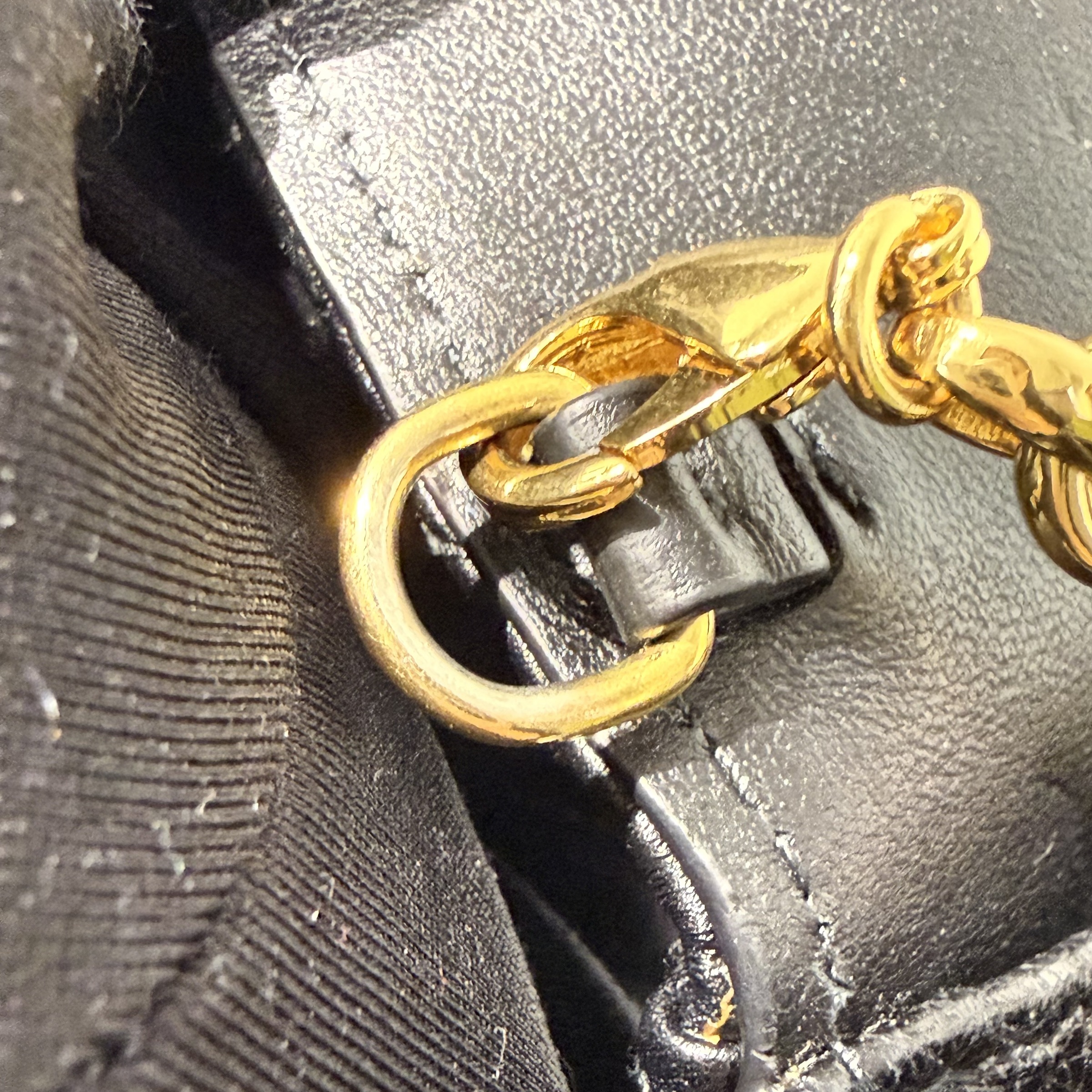 image_C2D37226-B377-4FA2-9B24-777283062FC5_1766112909