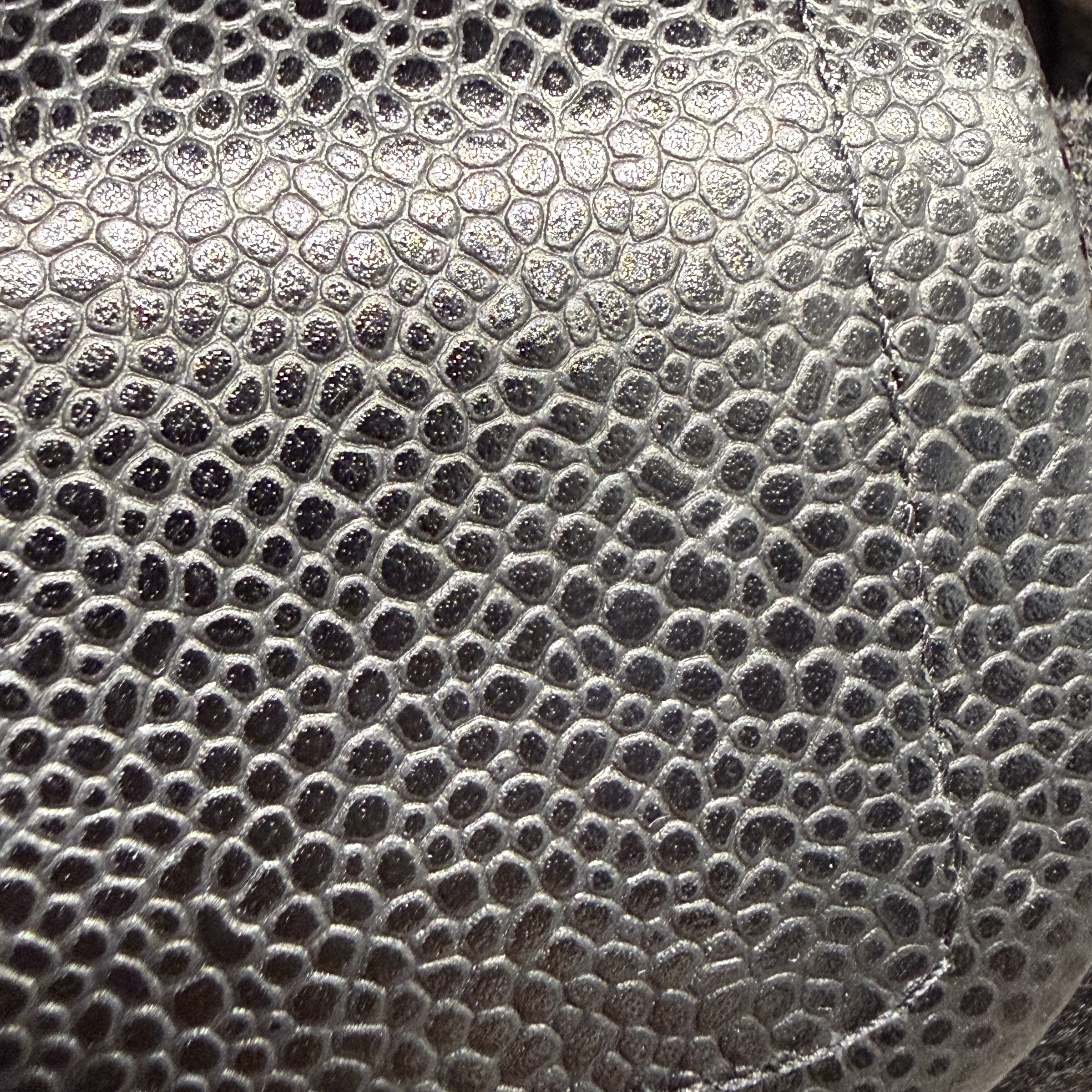 image_E309351A-0B72-43A4-98AF-C3B9A975007B_1766124348