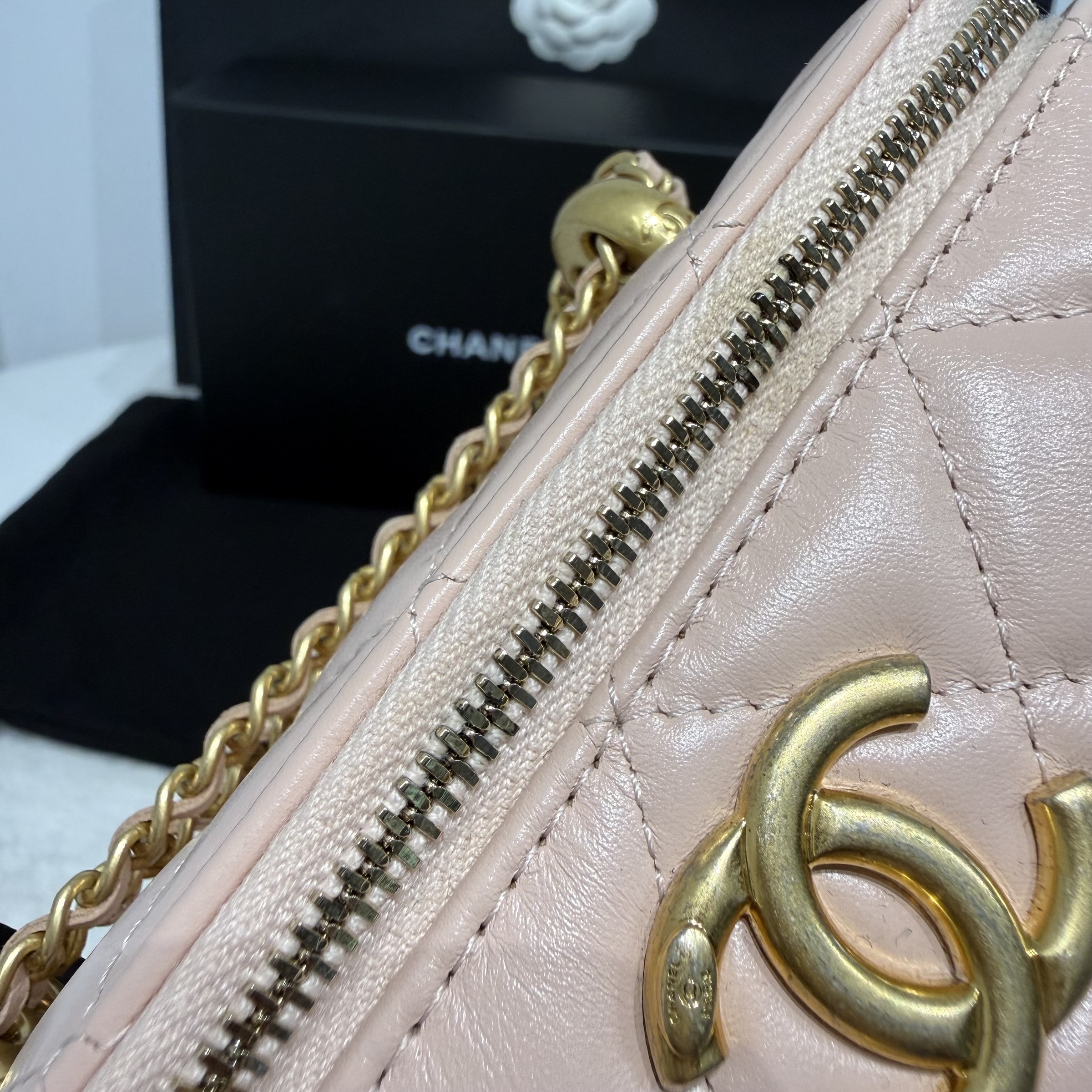 image_7A982D10-508F-4961-9999-D6DF7E342574_1766134370