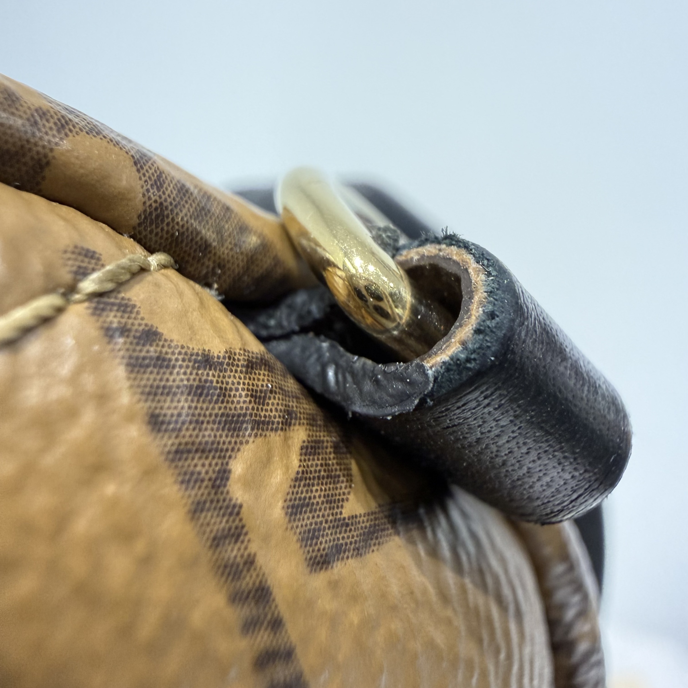 image_CA6E8A5E-BCDC-4321-97D6-3D4F51FE2B42_1766137224