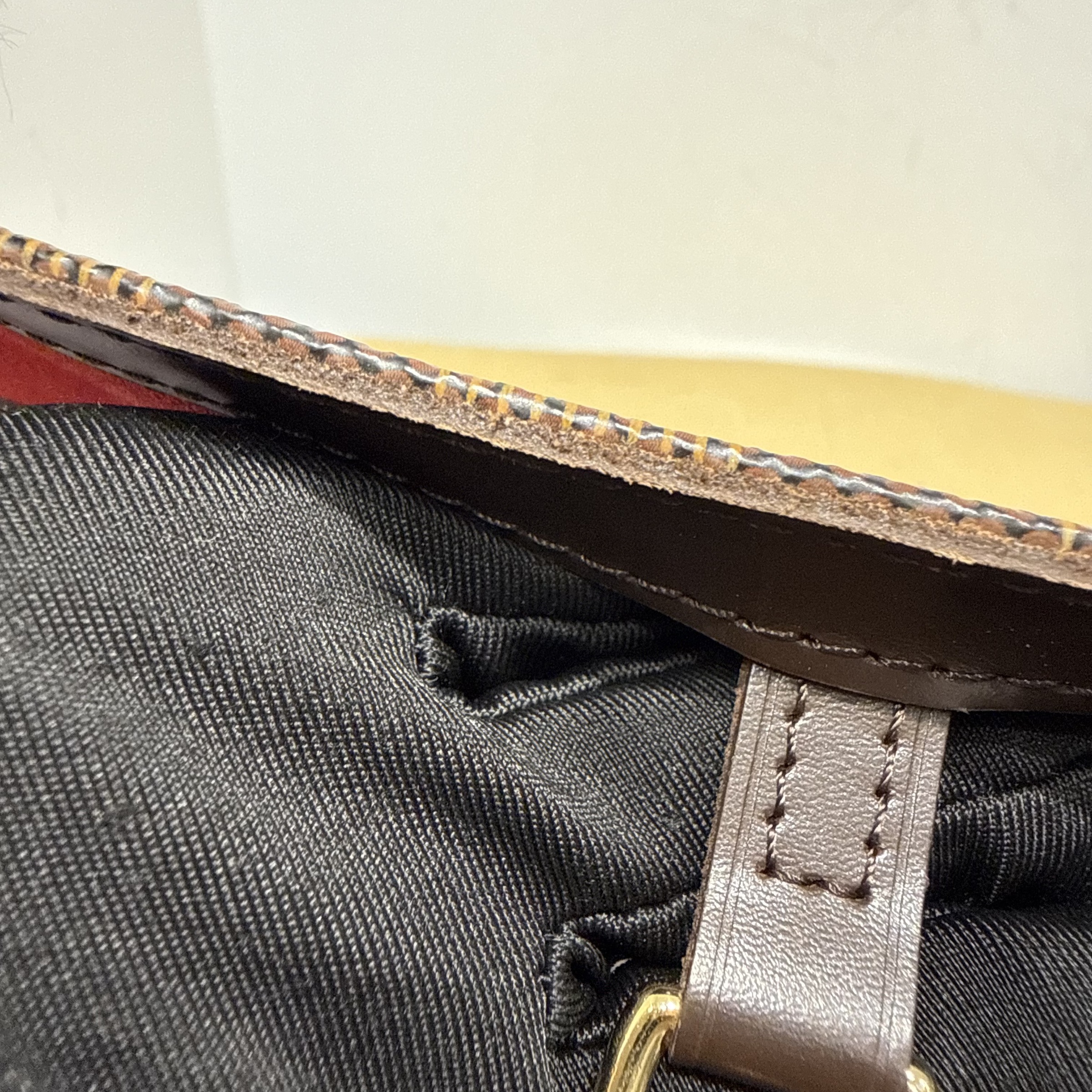 image_305E55C6-79A7-4FC3-888C-906ED62C5011_1766316470