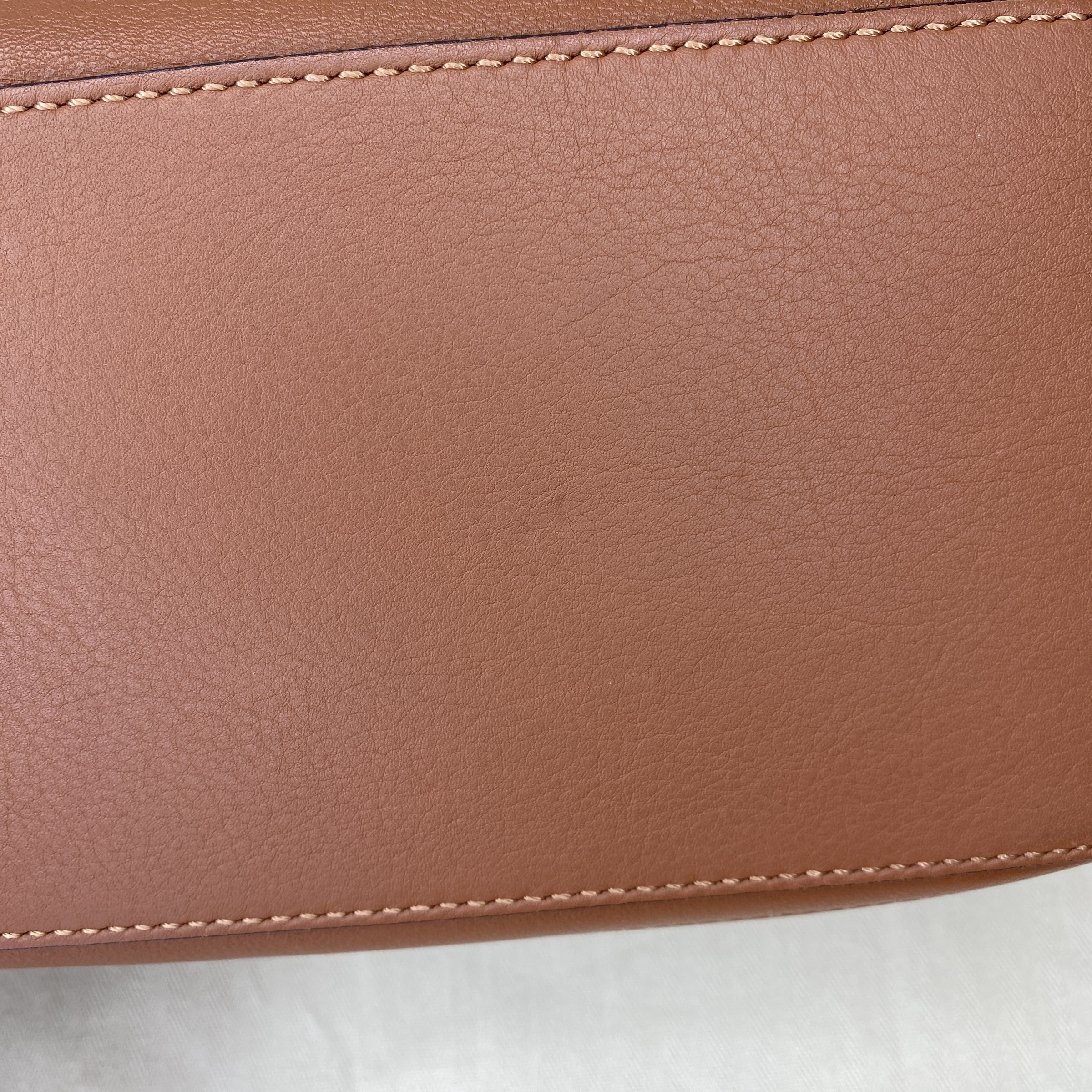 IMG_0646-1766570740535