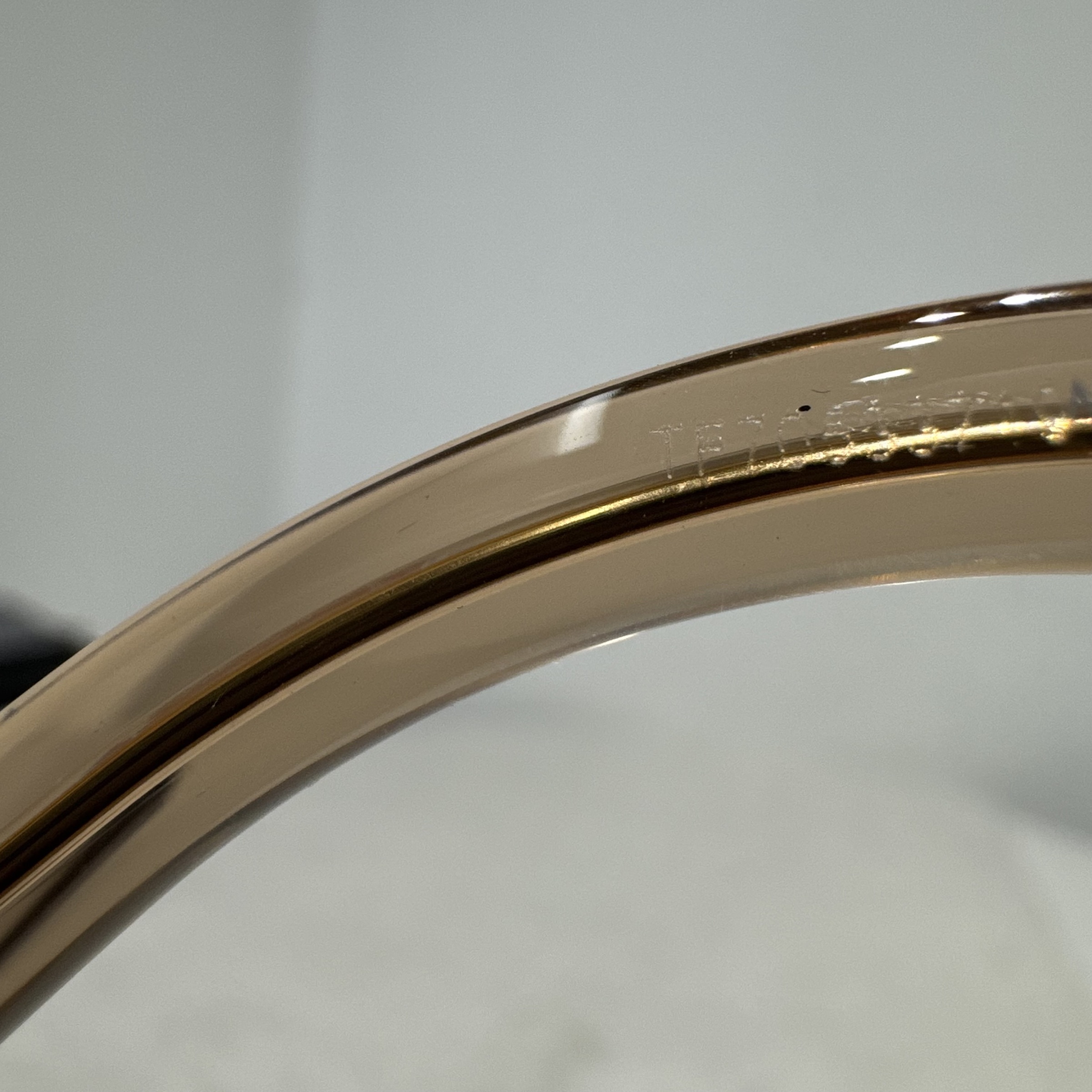 image_1343BBEF-15CE-410C-ADA8-CE8BA6272BA7_1766815324