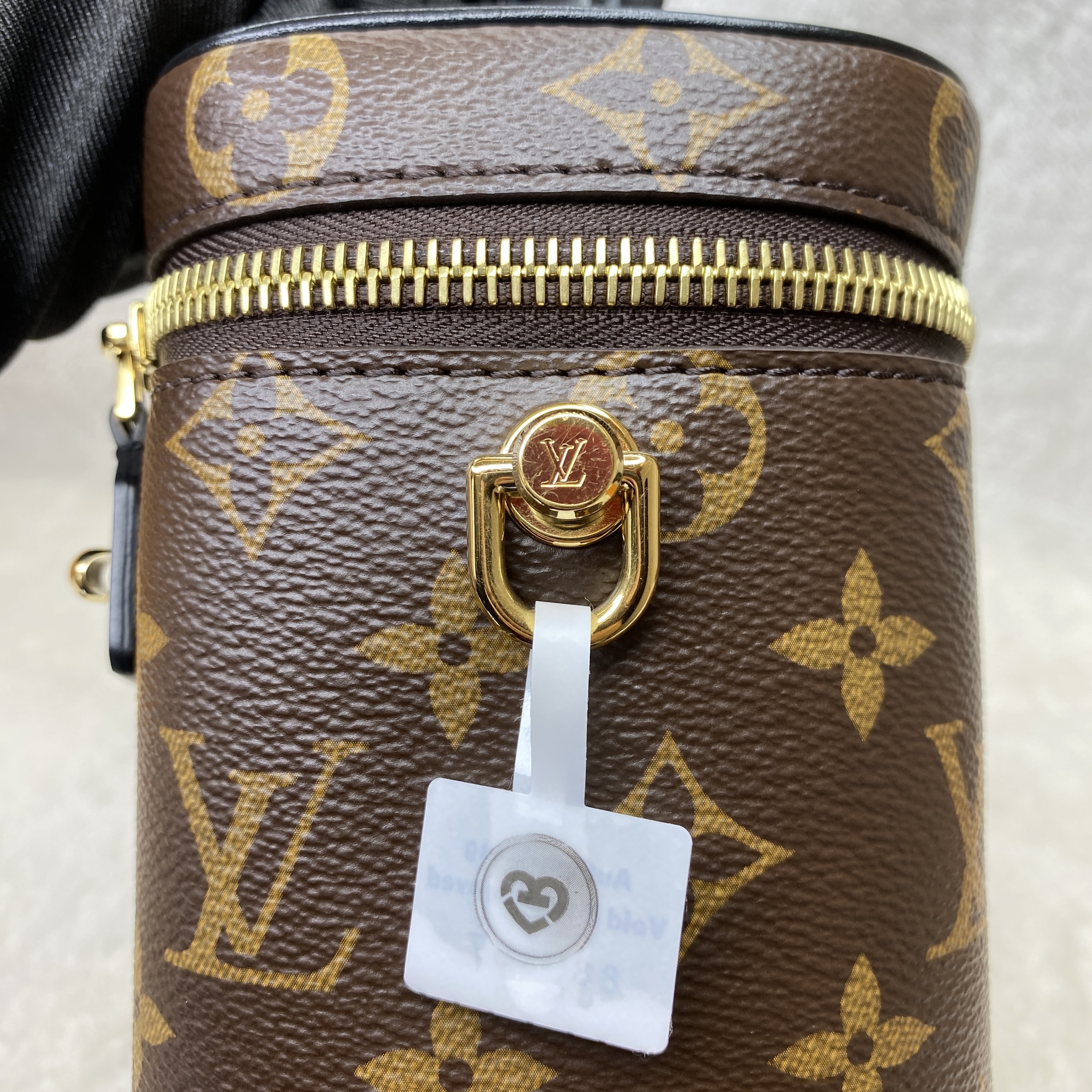 IMG_1013-1766828182845