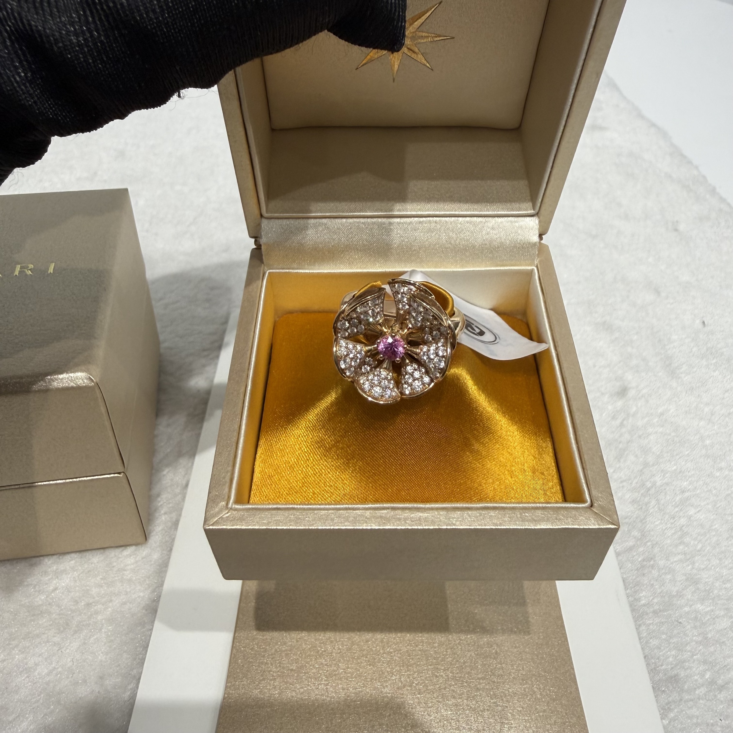 image_34F26999-9CB2-42FF-801E-57C57664FD9D_1766990000