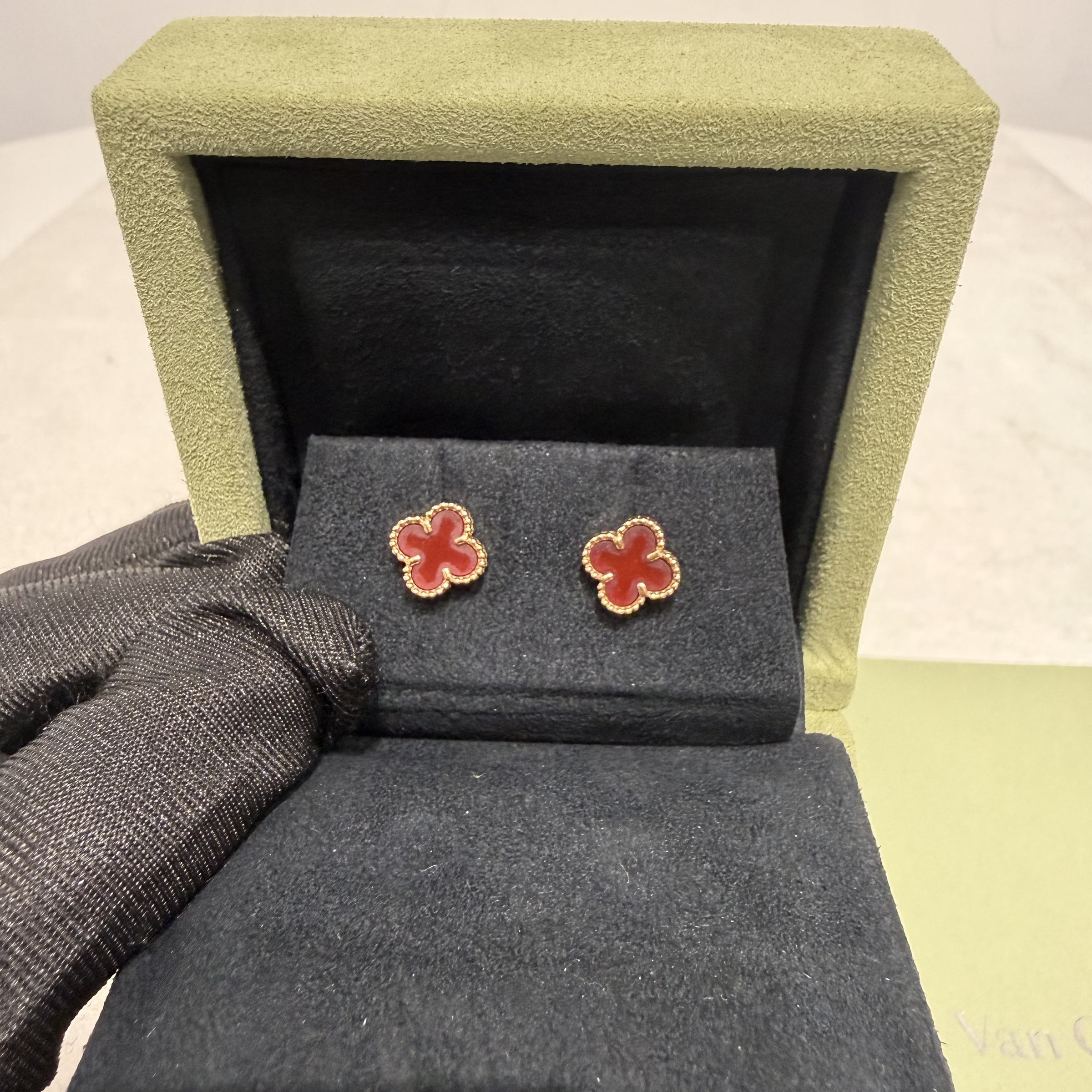 image_CD5539FC-9B3A-4CBB-8632-B68BD1B0628C_1766990104