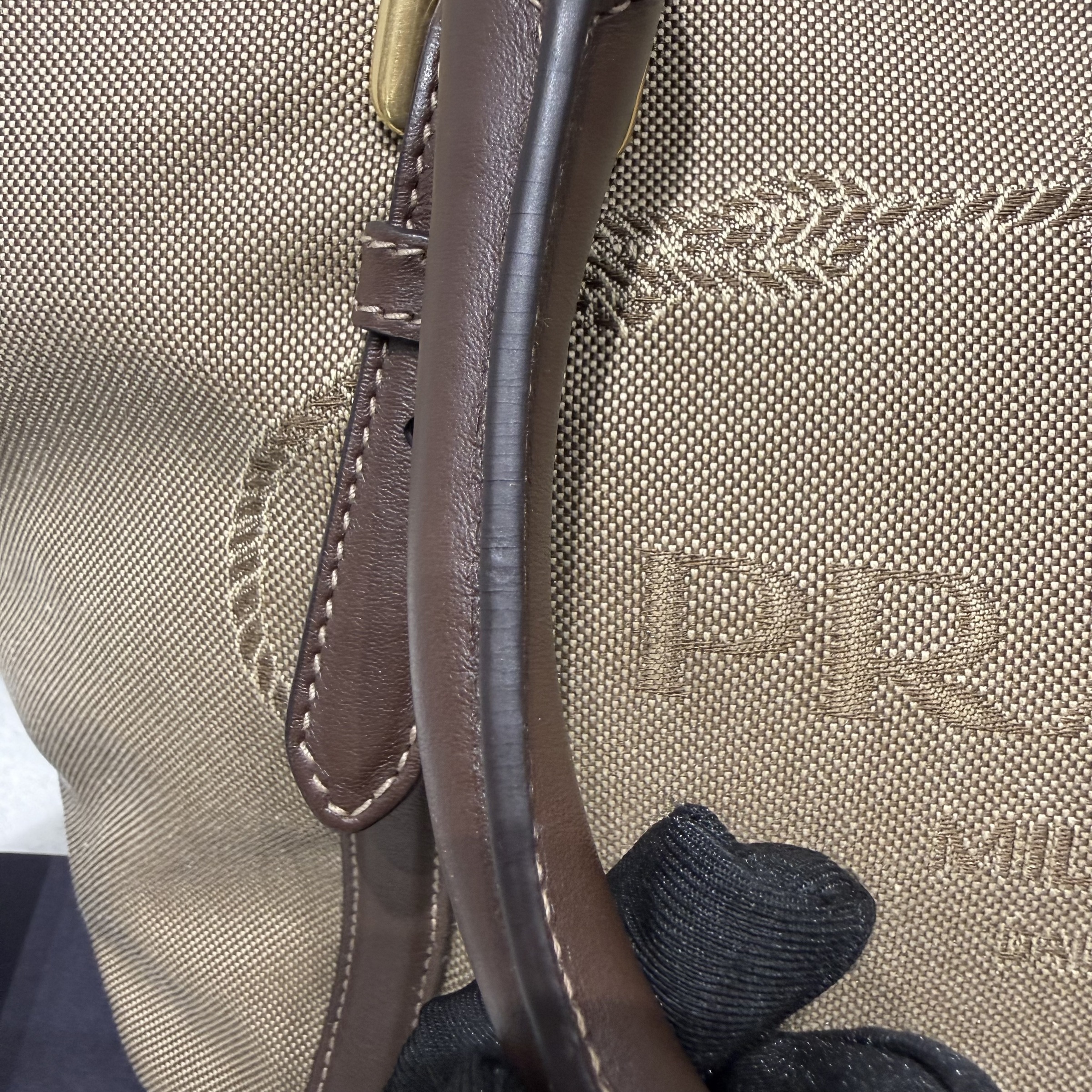 image_6EE1C78B-B9B1-42C0-9879-E25A54C178BB_1767145187