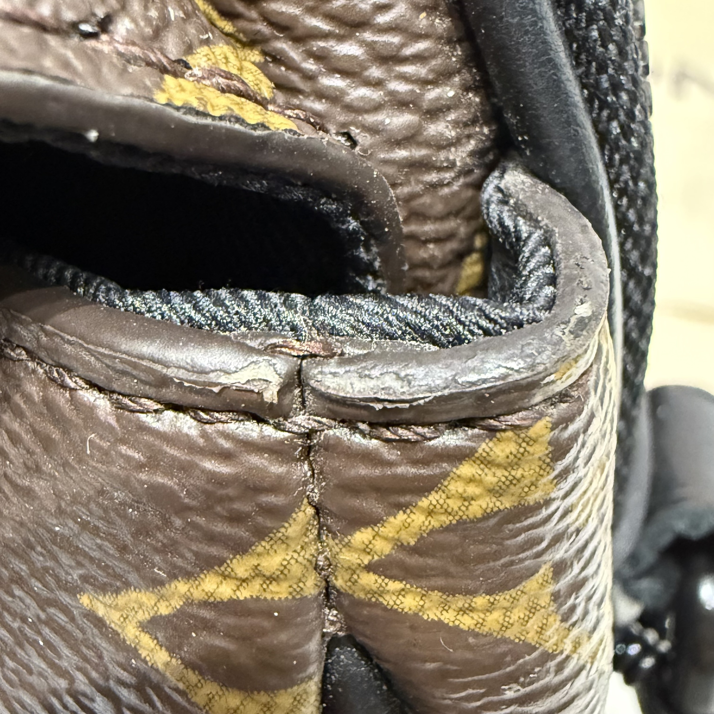 image_D97273C6-DEC5-4F98-935E-59E01F35A7C4_1767342571