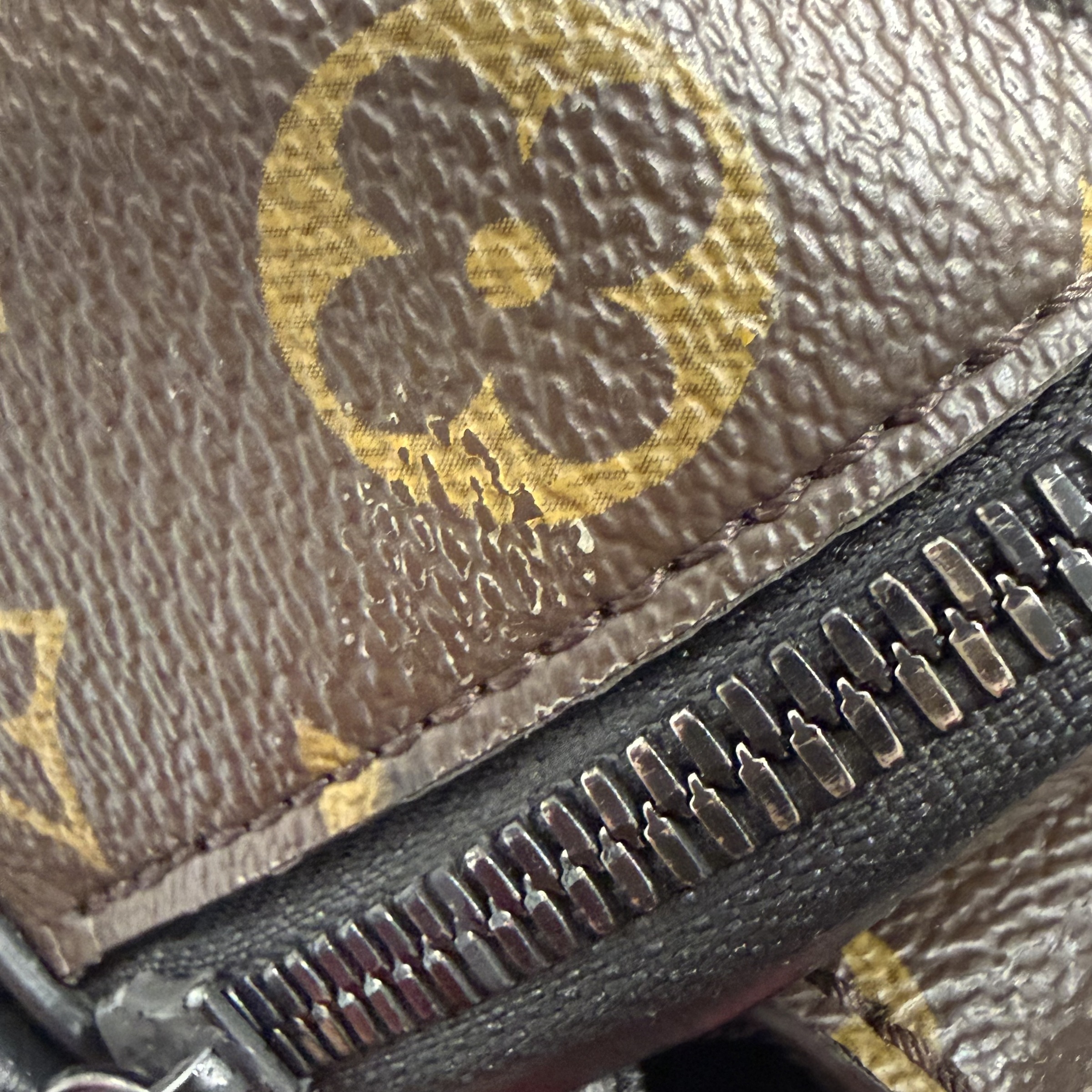 image_55069C68-443B-4409-9691-C54605BB3359_1767342571