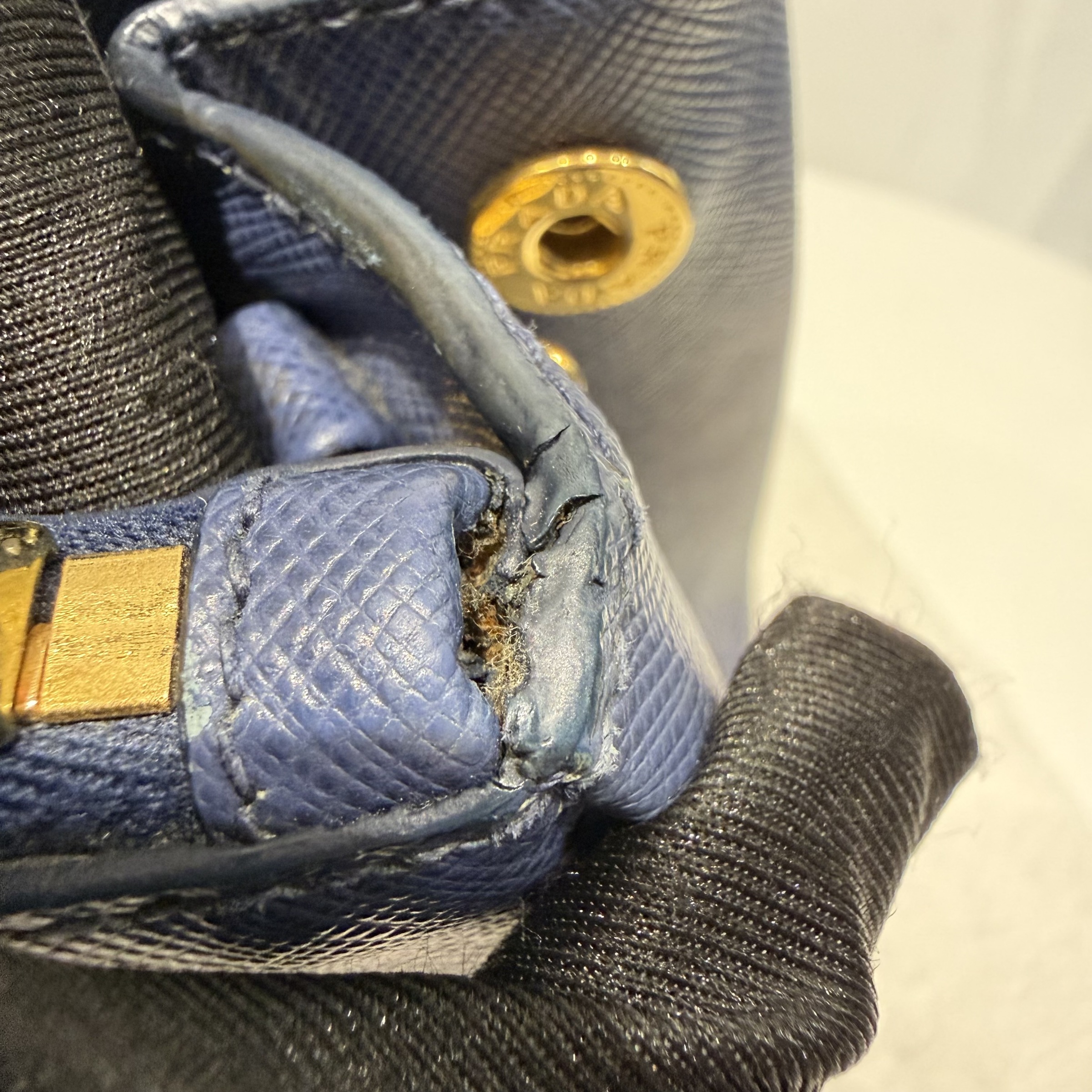 image_220B0164-A0BD-49C9-829A-835CB3269B4A_1767343008