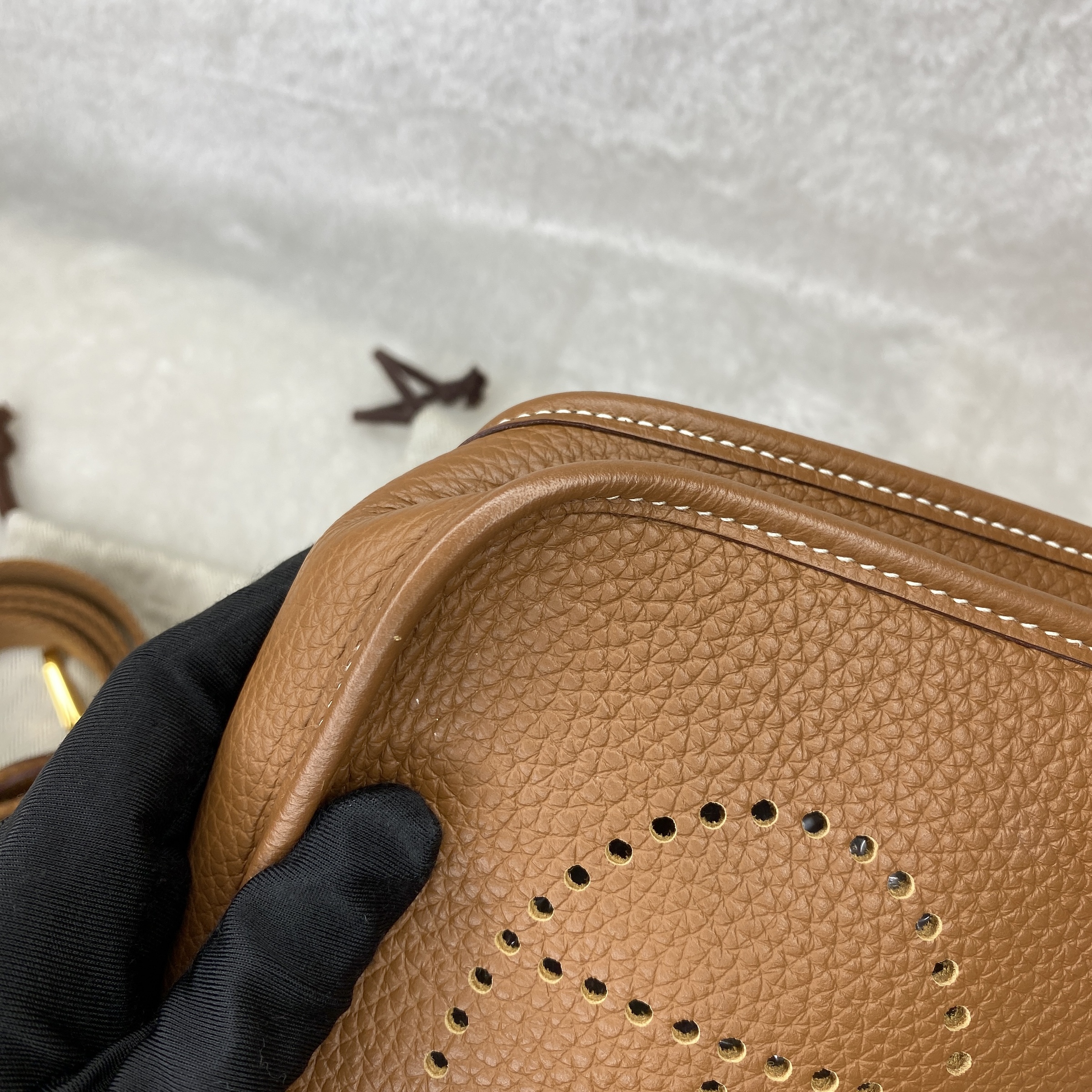 IMG_1921-1767608813914