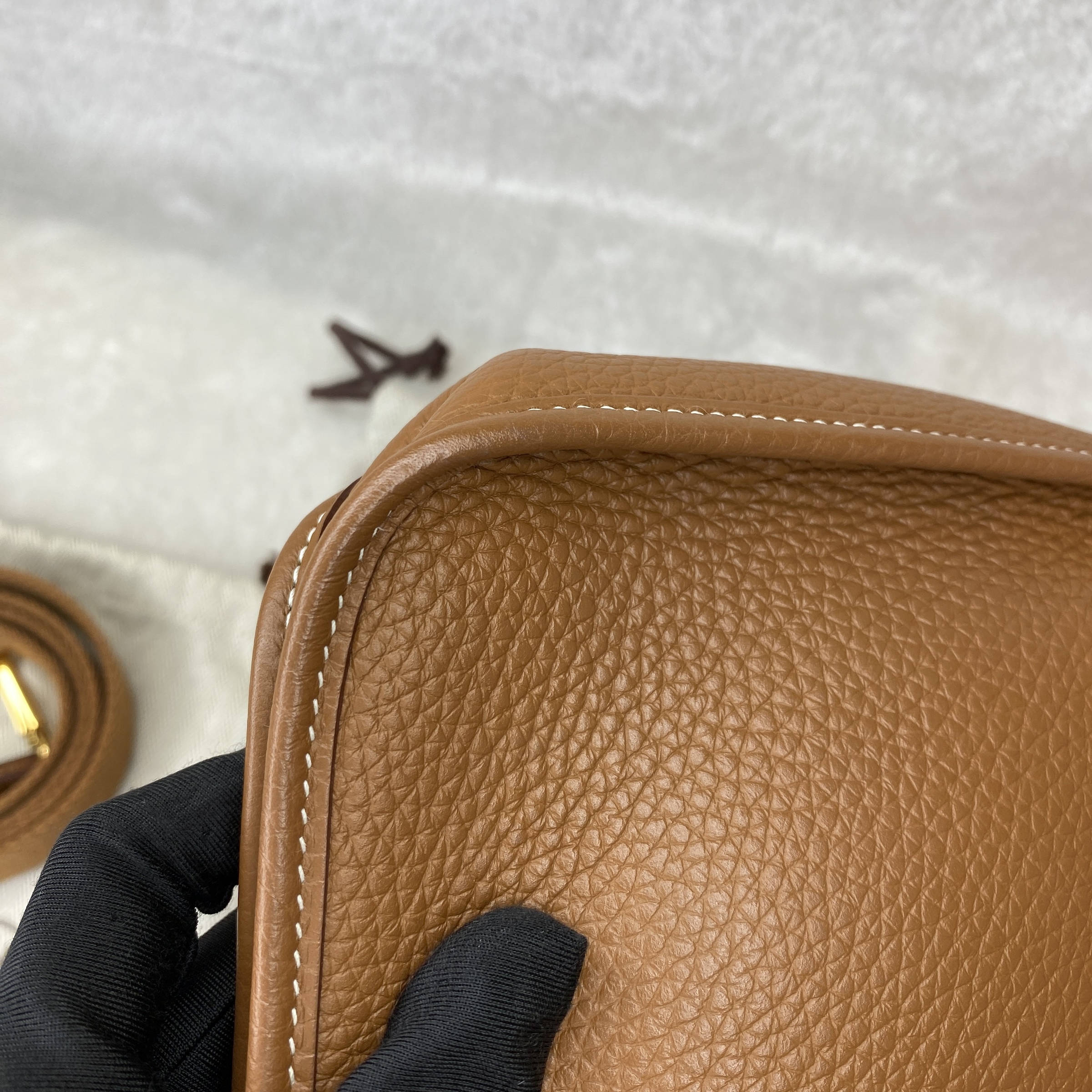 IMG_1922-1767608813934