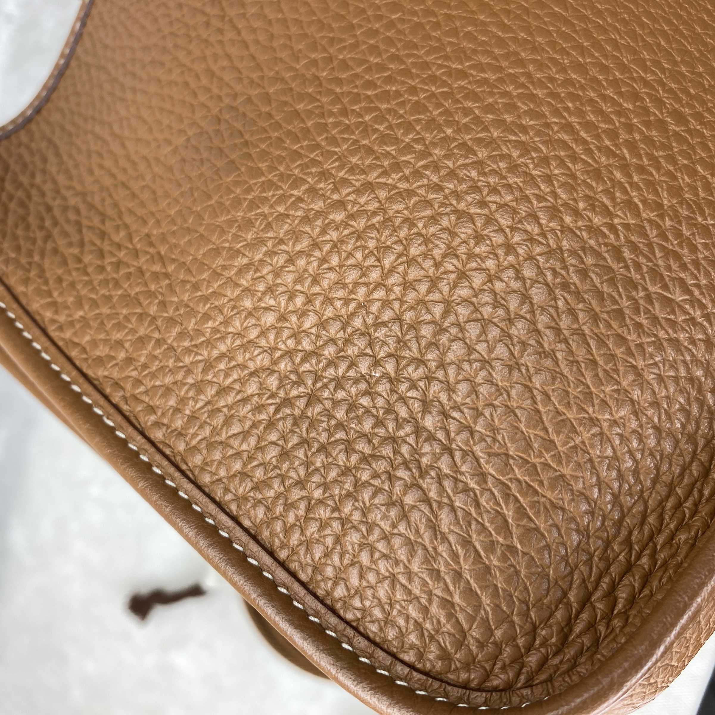 IMG_1925-1767608813945