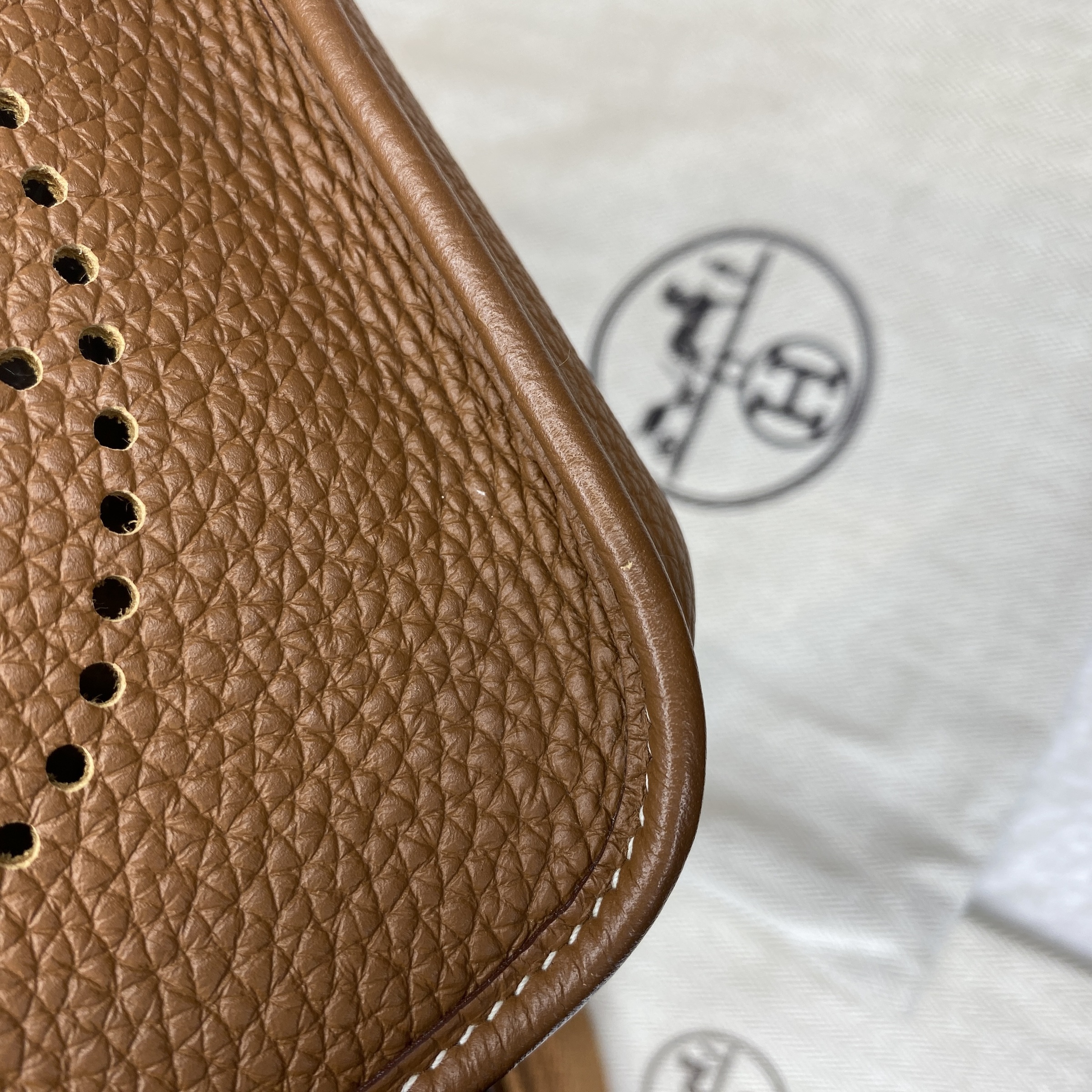 IMG_1927-1767608814013