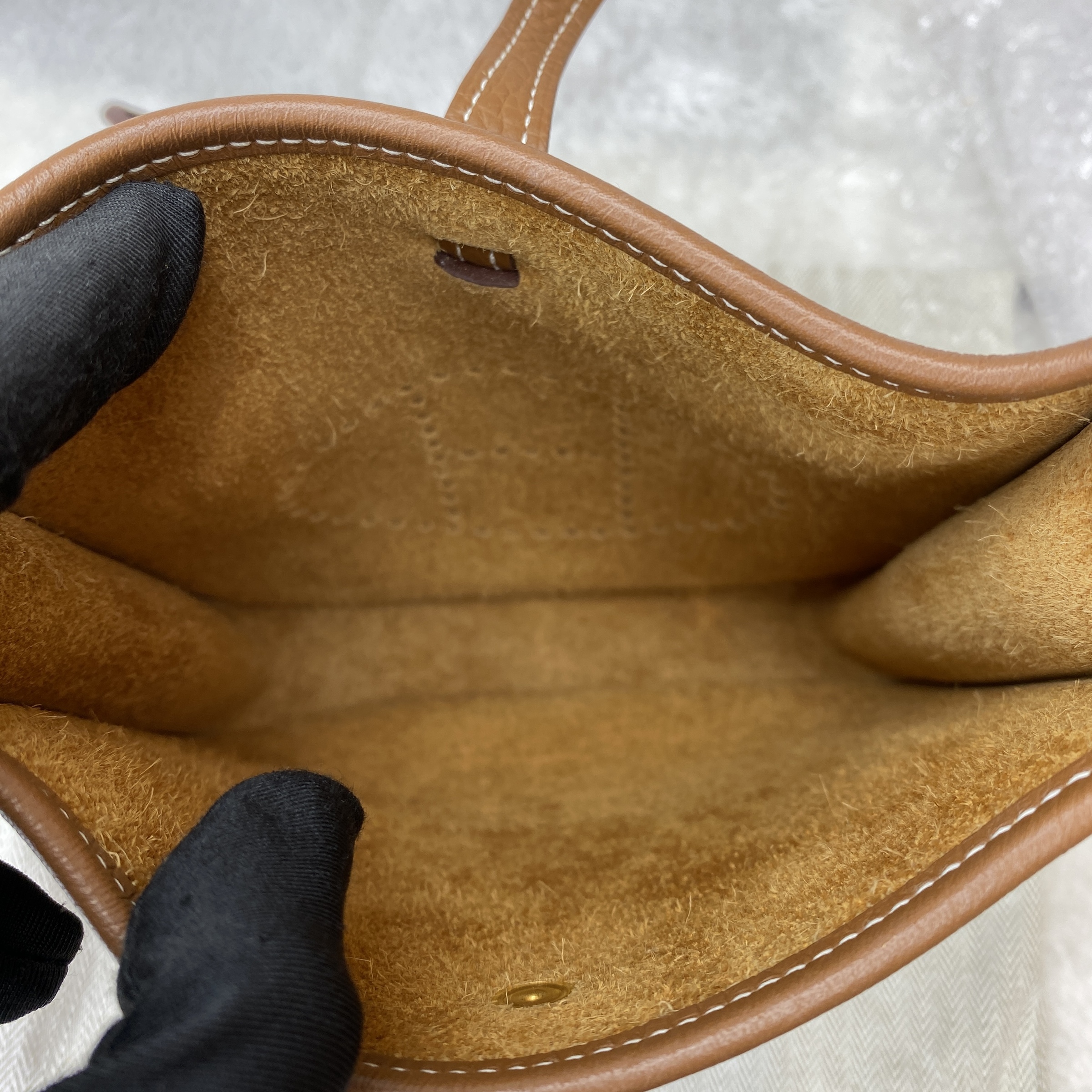 IMG_1931-1767608814083