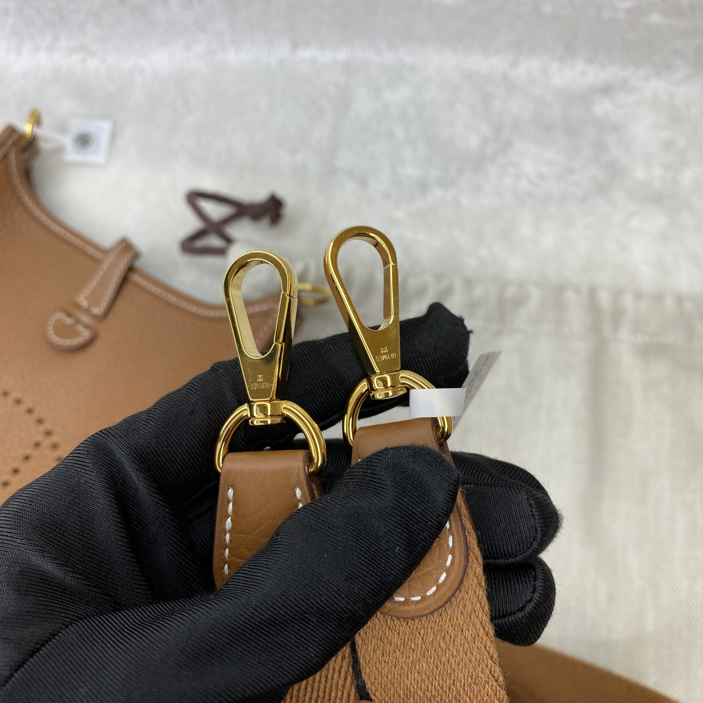 IMG_1934-1767608814109