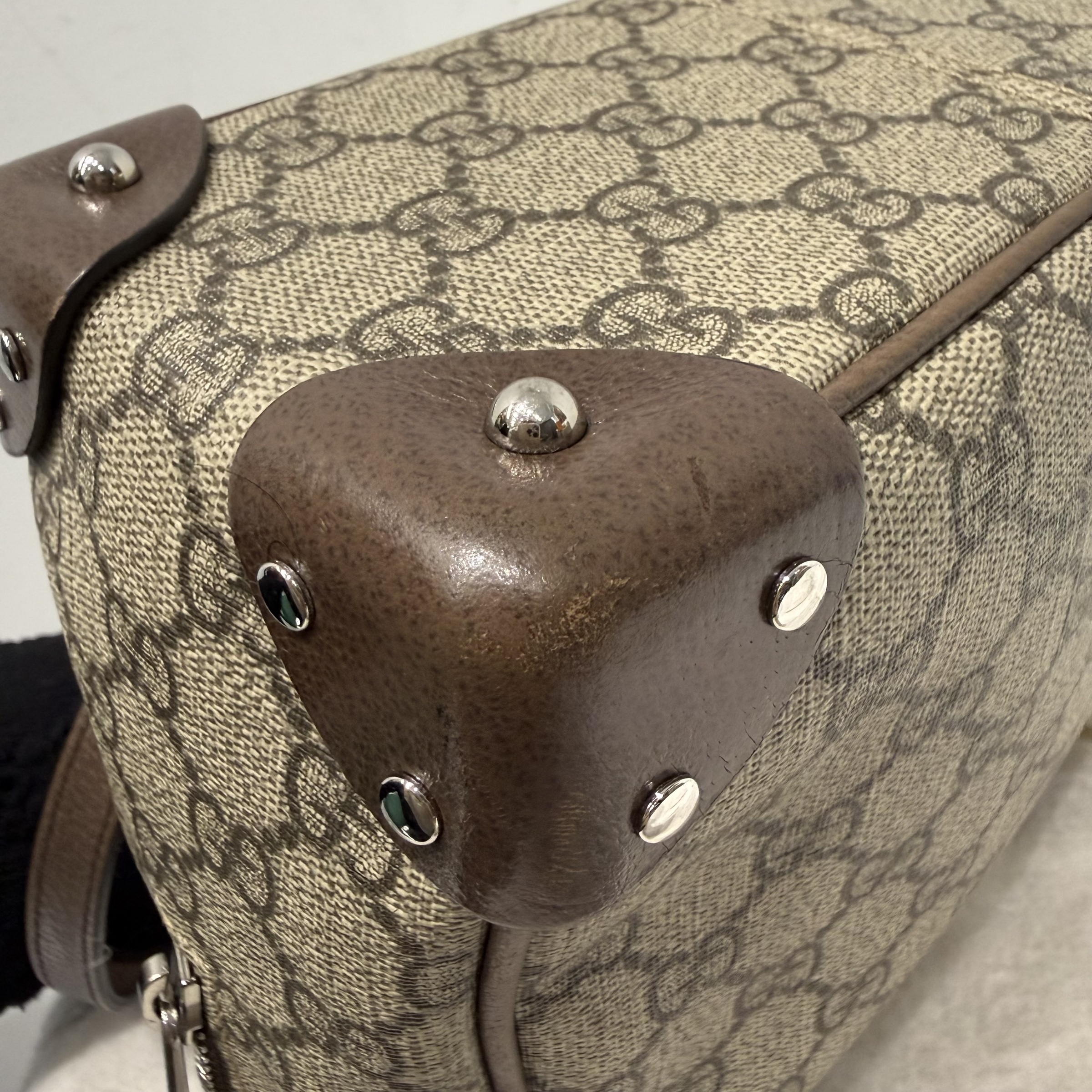 image_940F222F-CB20-406C-9FCE-6E60A28E966C_1767666803