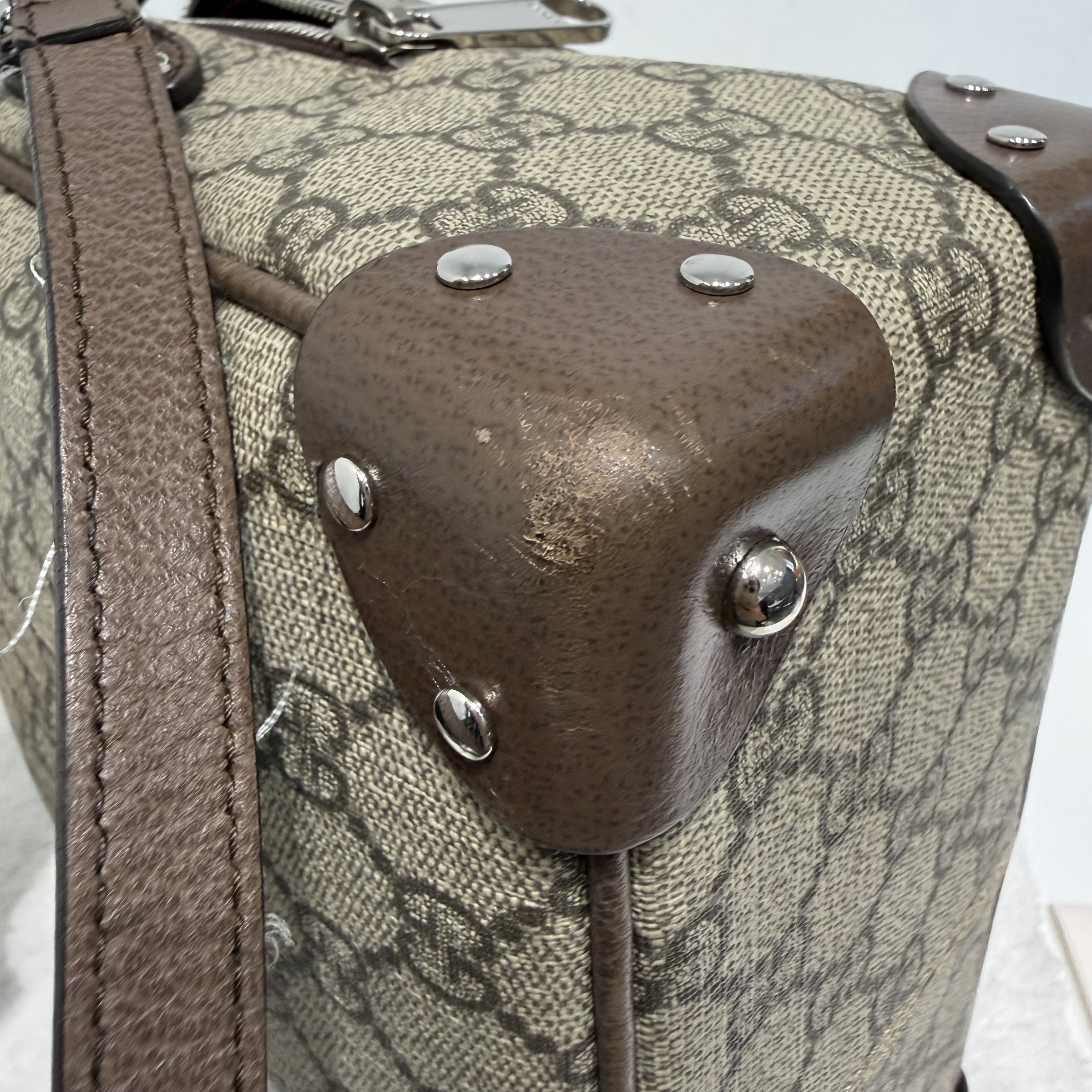 image_46D39247-7CEE-47AE-8243-66E888E1AE54_1767666807