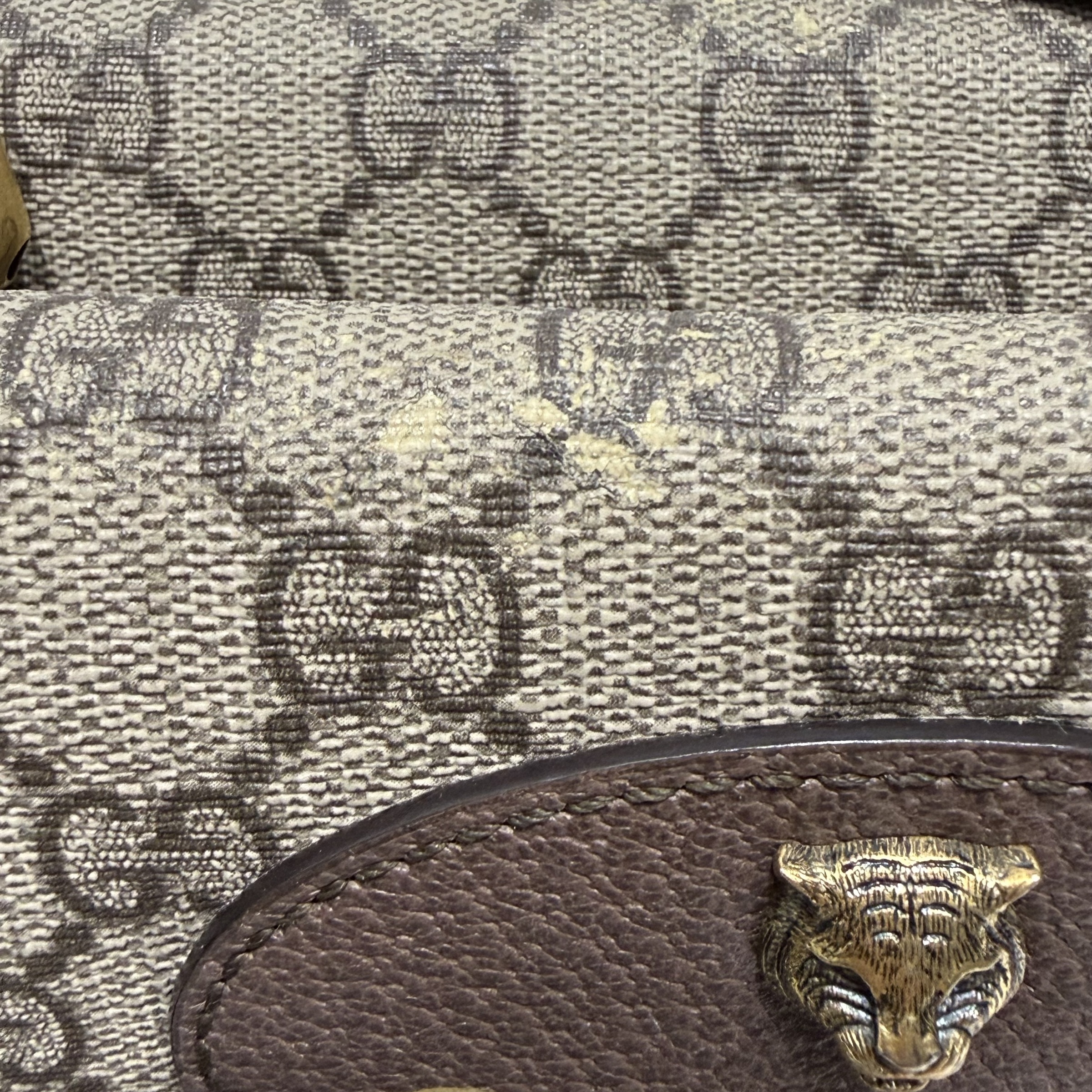 image_0E1FF248-02A0-4F86-B1EA-7D32030519DF_1767667278