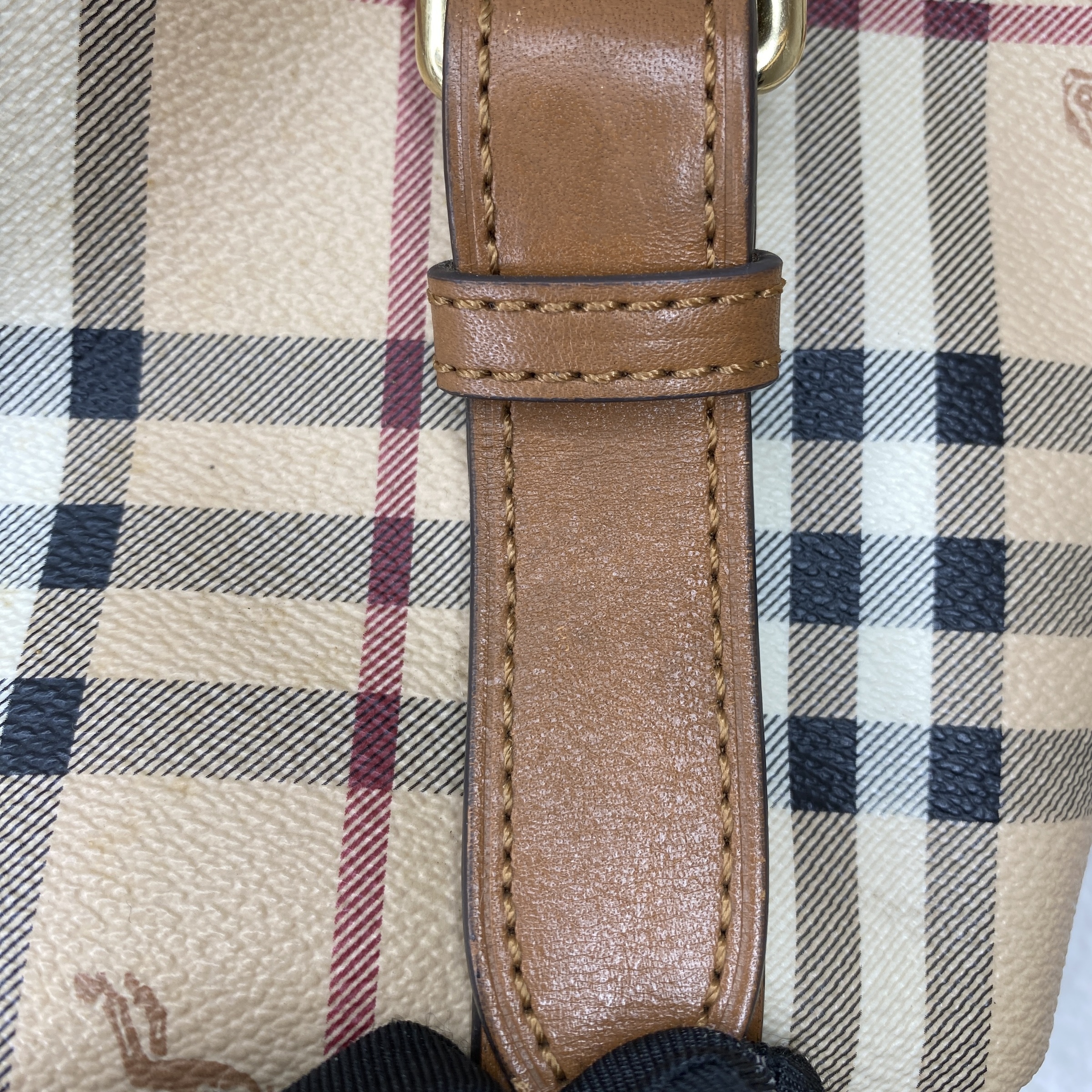 IMG_2137-1767694968632