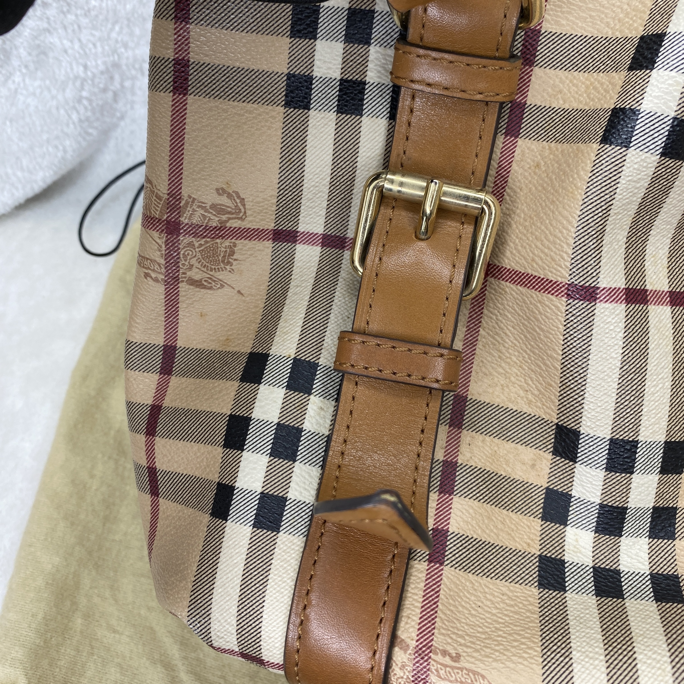 IMG_2147-1767694968723