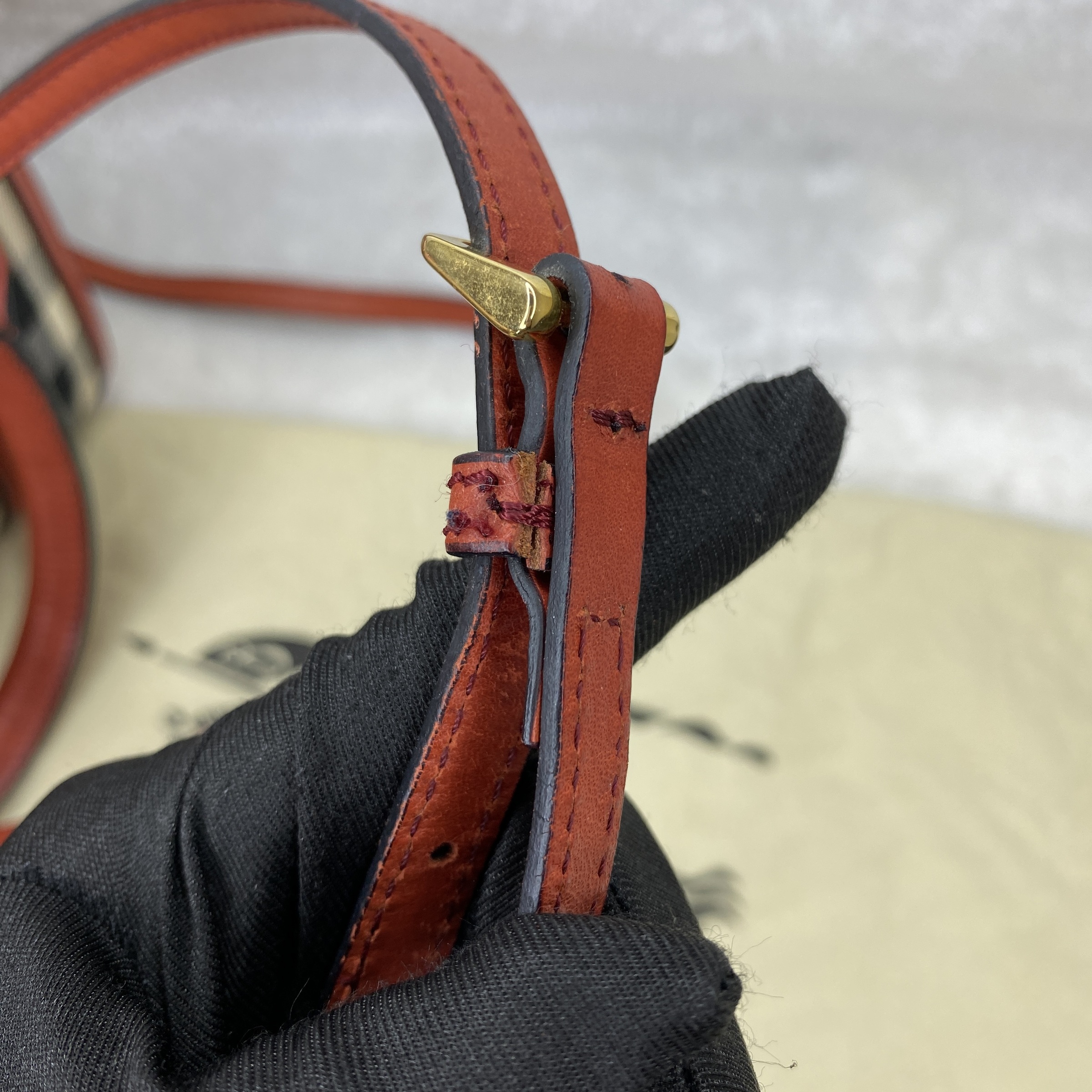 IMG_2086-1767695487581