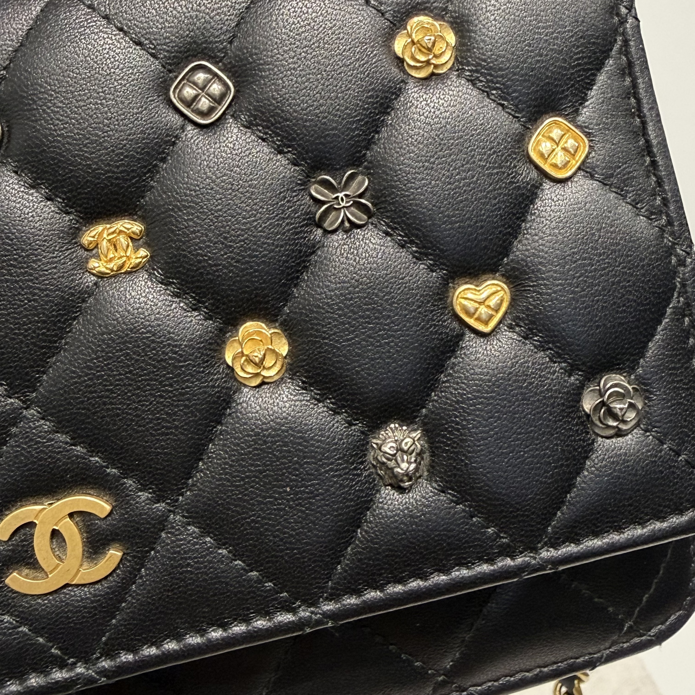 image_372C6195-F042-4E03-8D27-7789C47E984D_1767762700