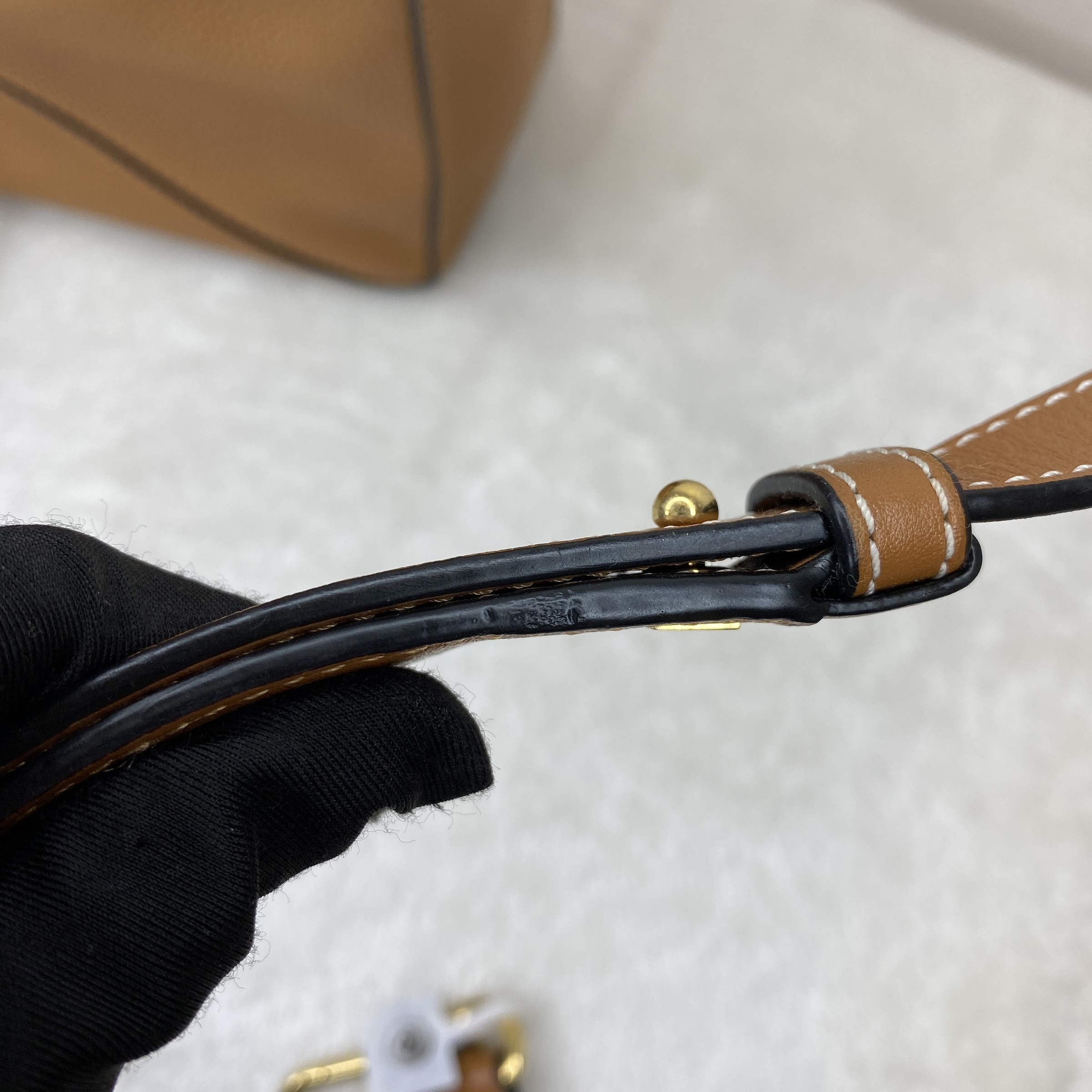 IMG_2427-1767867058456