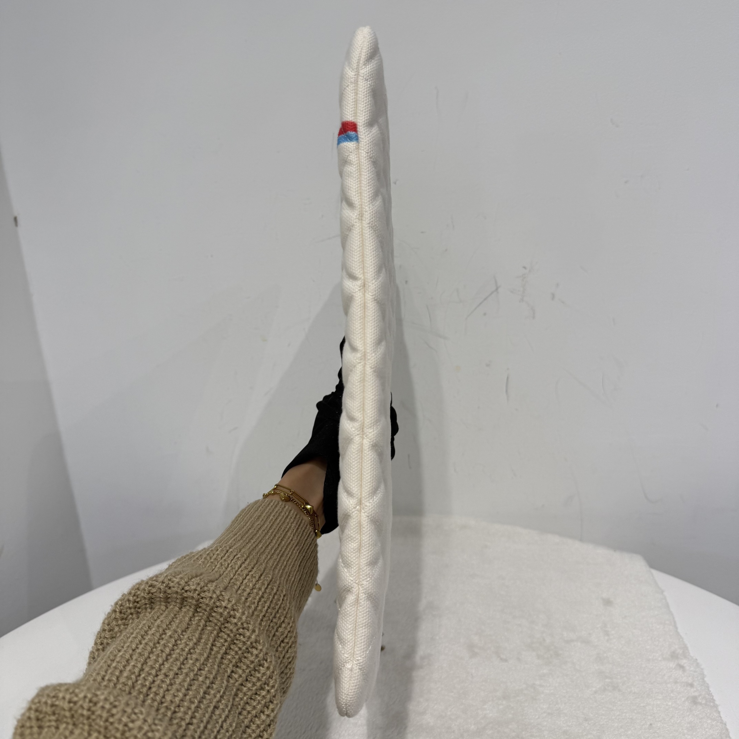 image_227EF1E4-2636-4256-8AE6-CC0D3E938EDD_1767945795