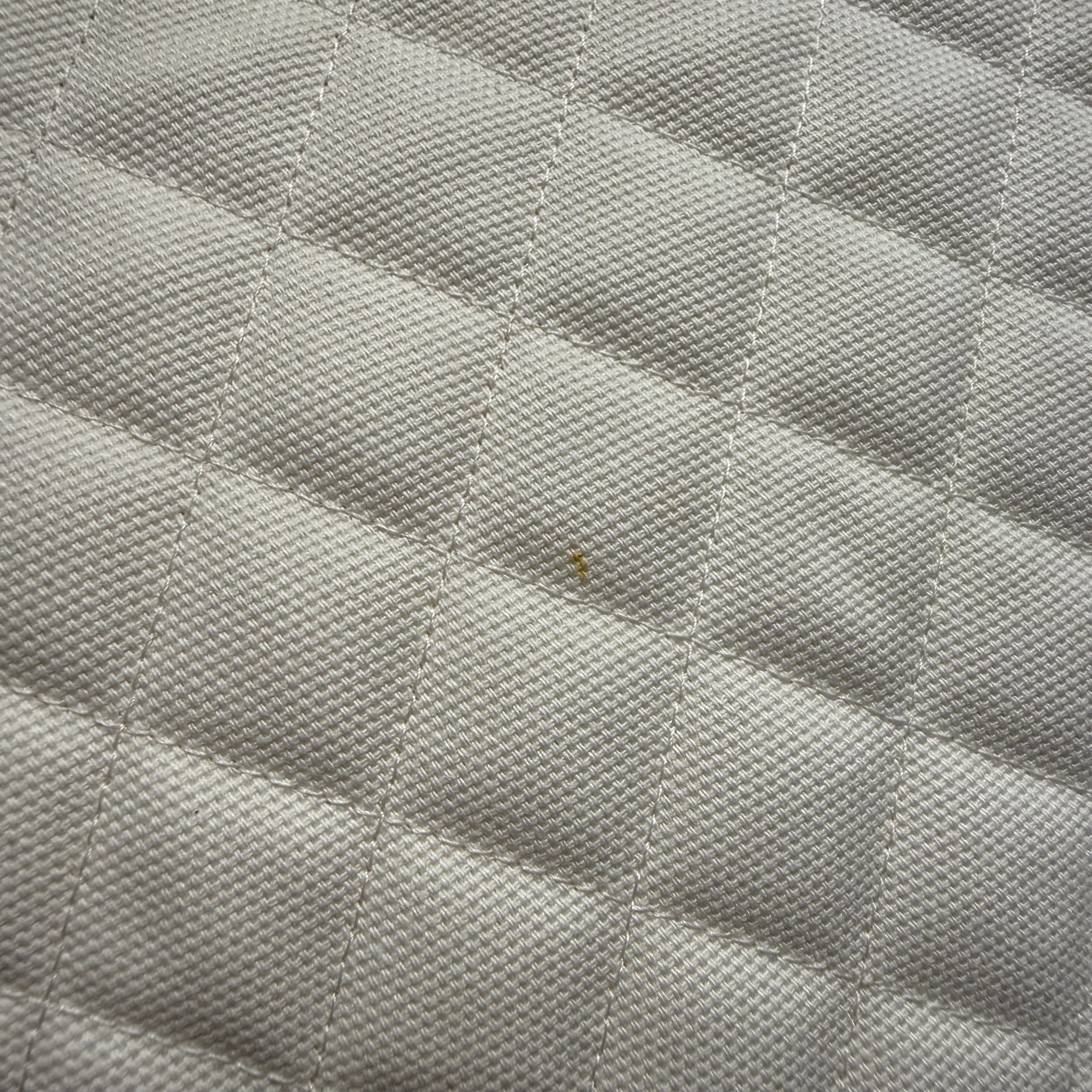 image_032B0767-B333-47AB-A12D-DE981E9279E9_1767945796