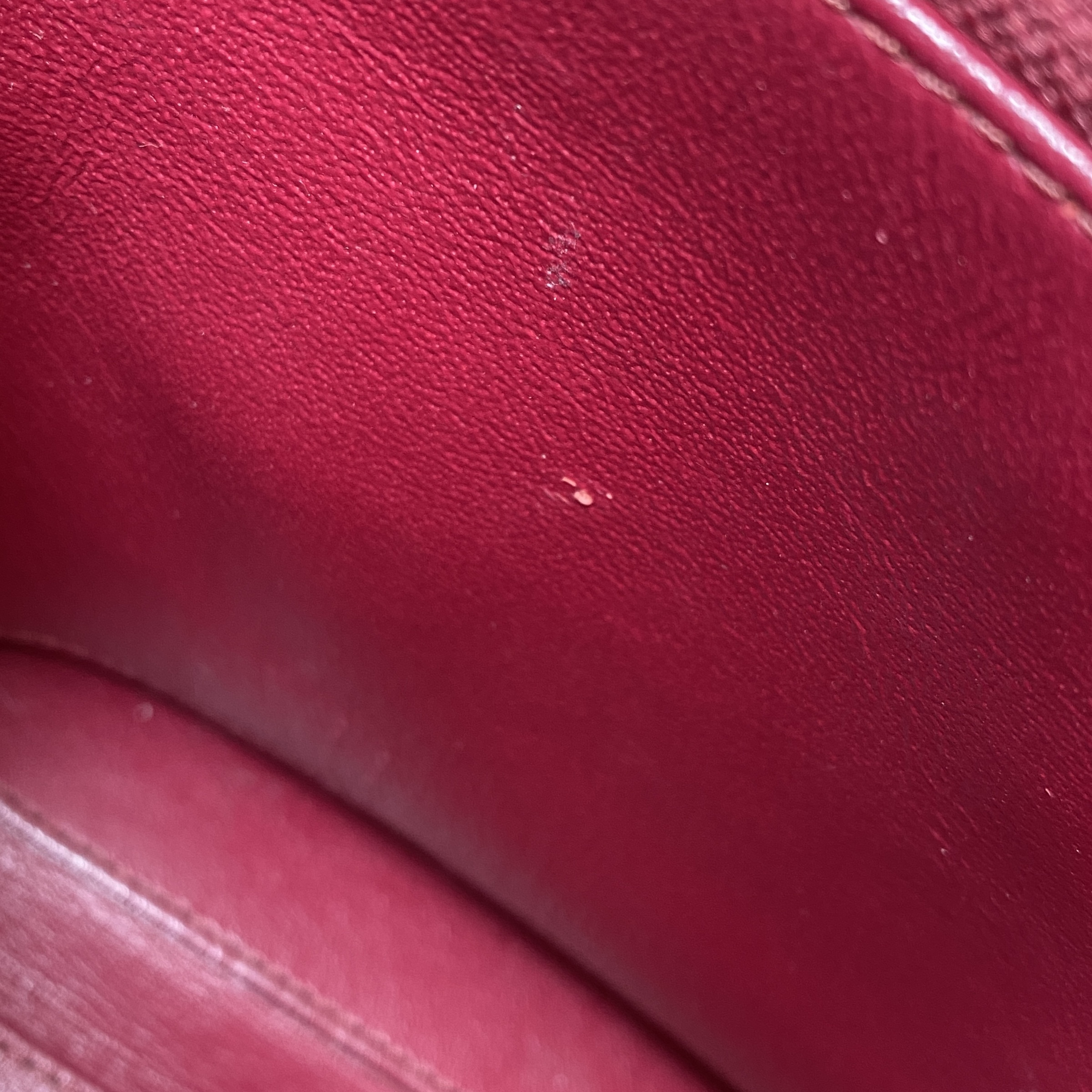 IMG_2484-1768026811589