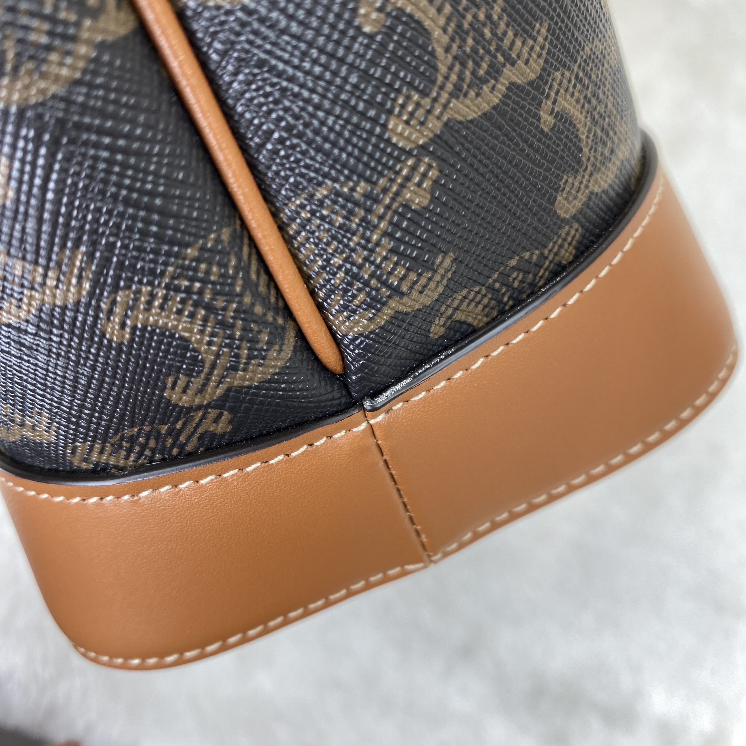 IMG_2495-1768031486009