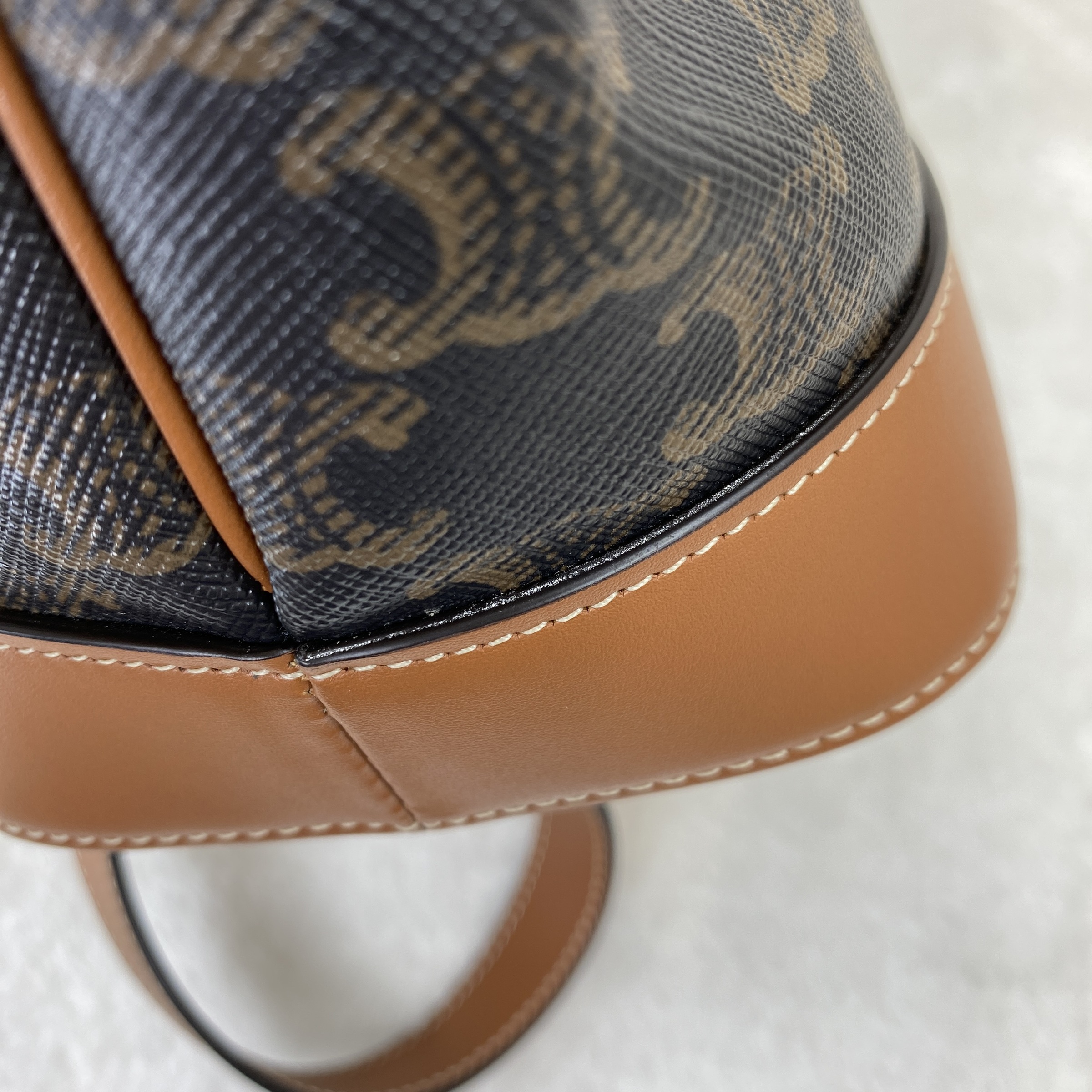 IMG_2496-1768031485468