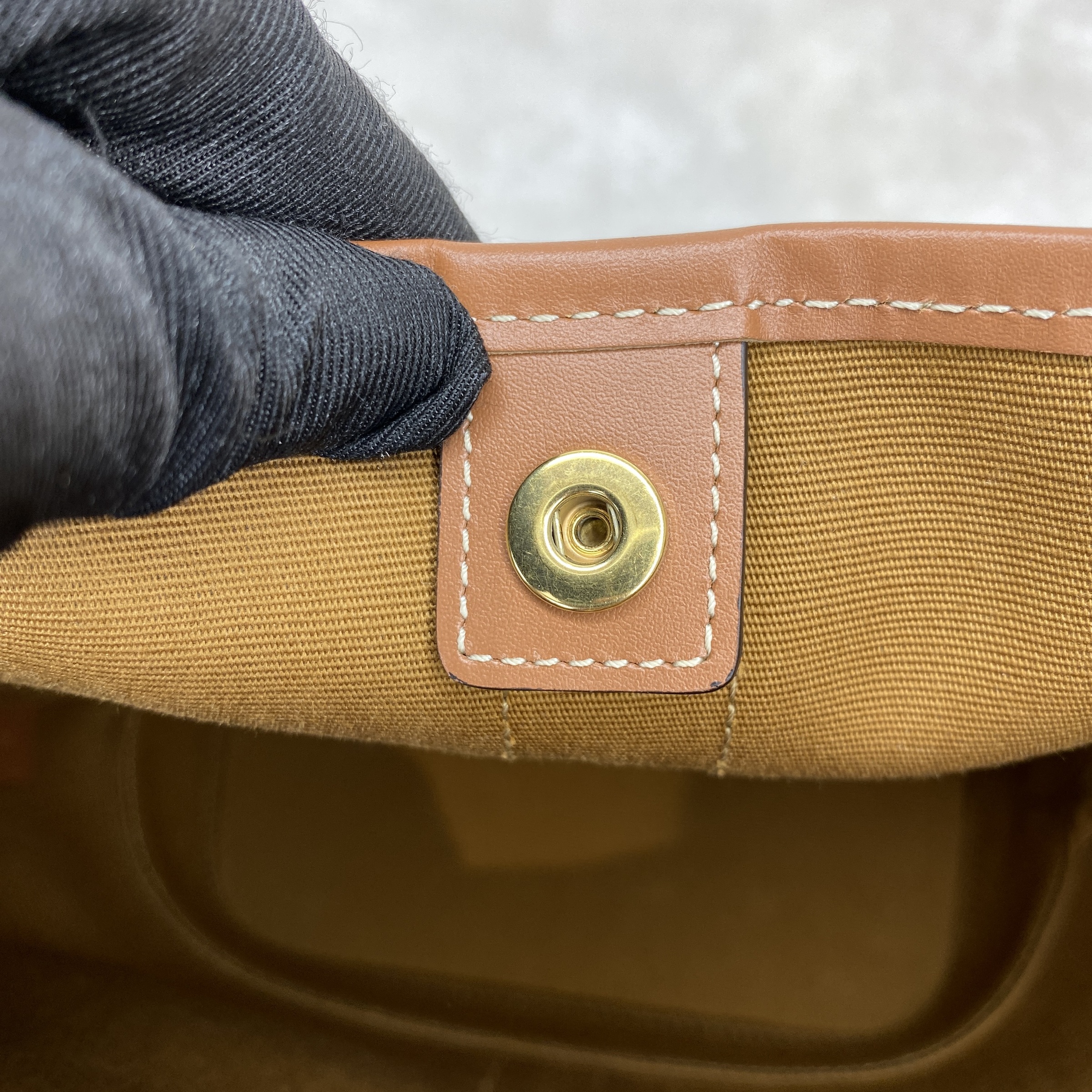 IMG_2500-1768031485353