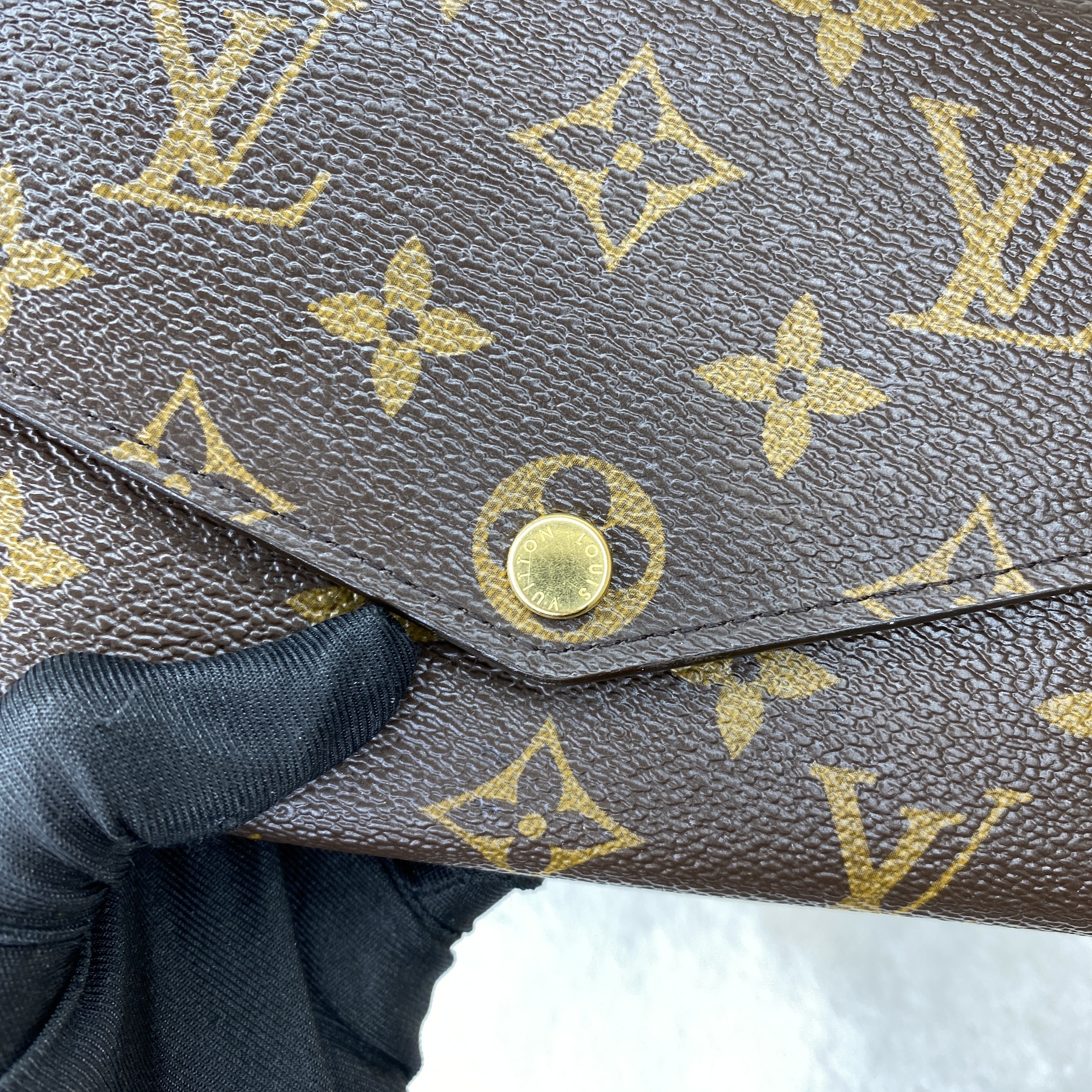 IMG_2514-1768031780876