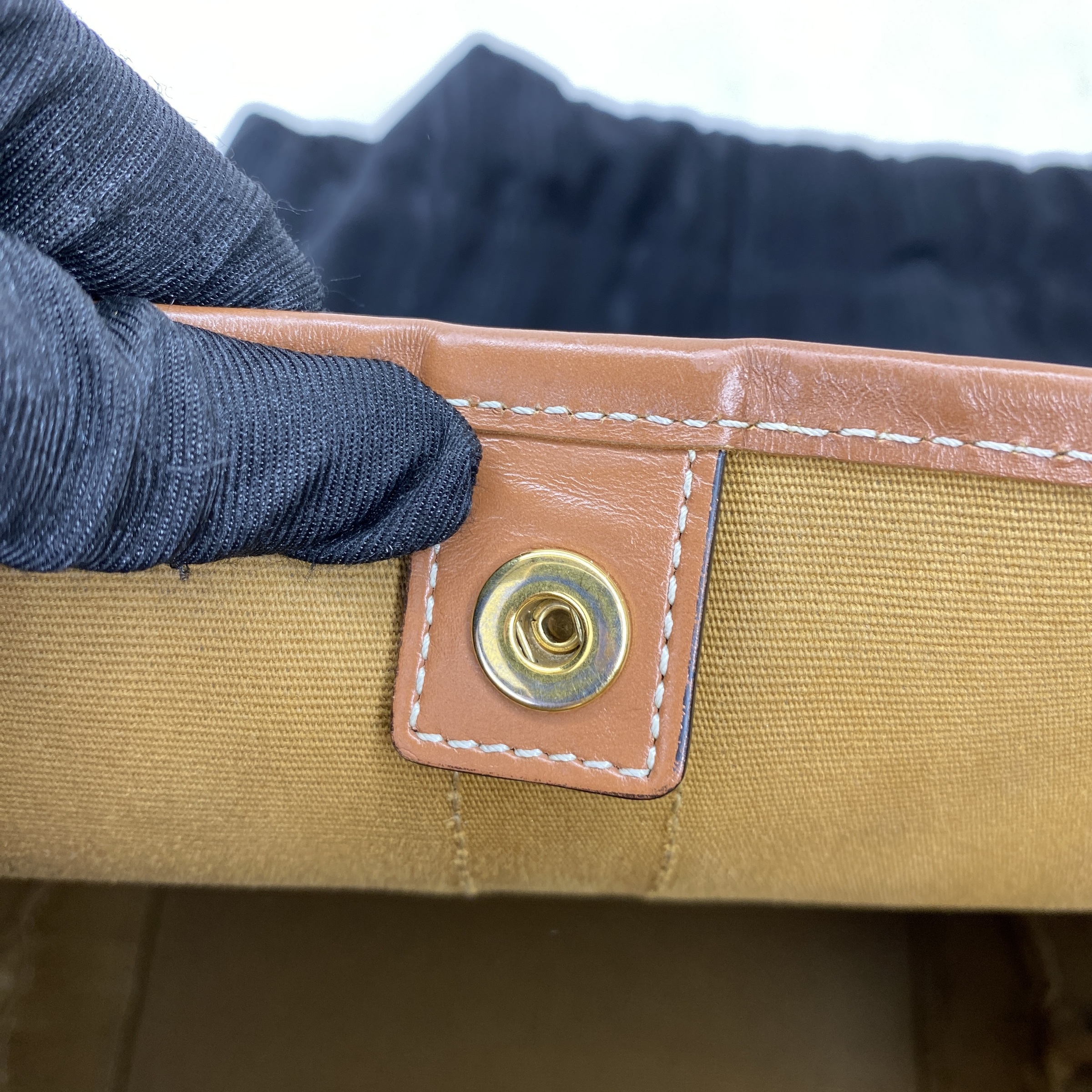 IMG_2614-1768032715317