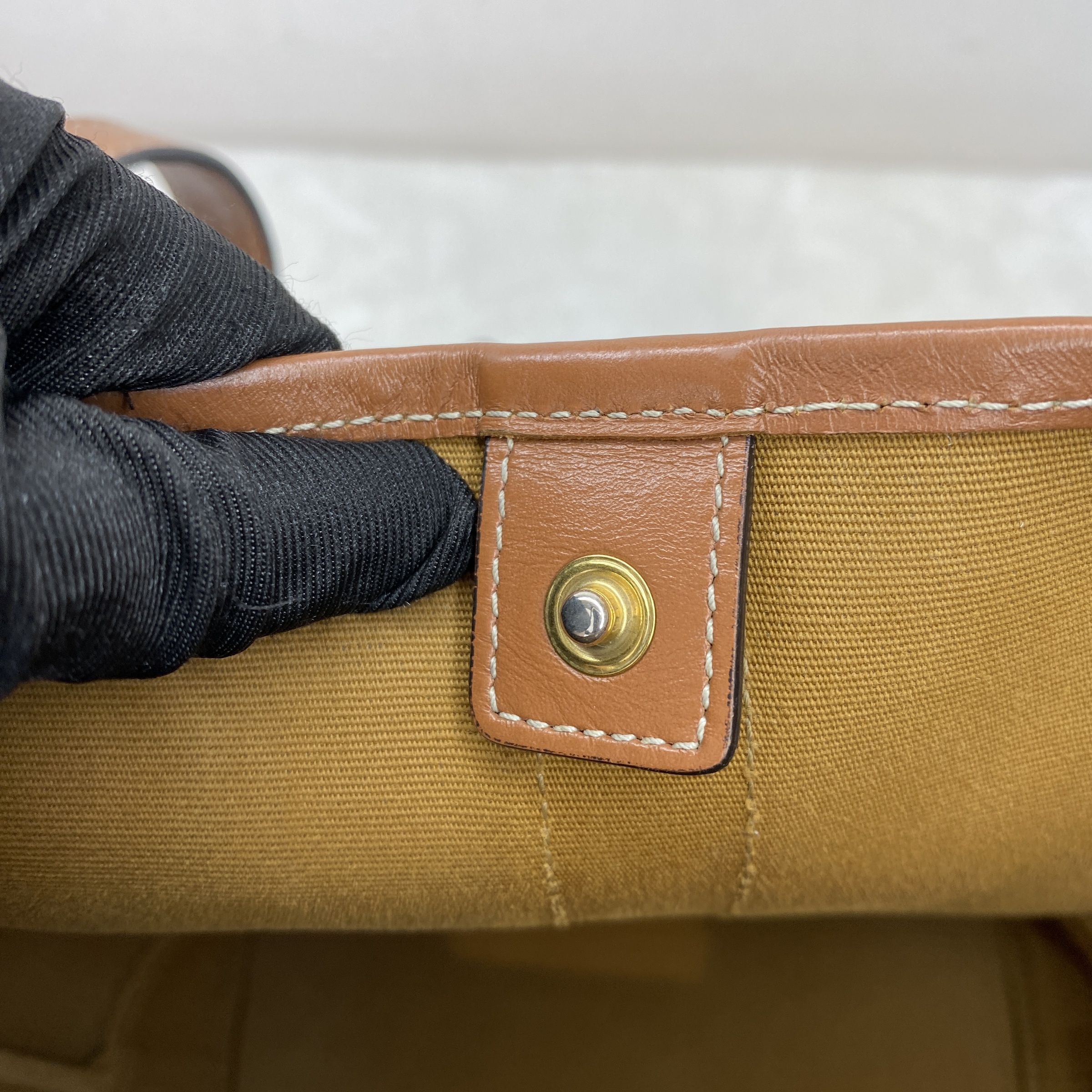 IMG_2613-1768032715333