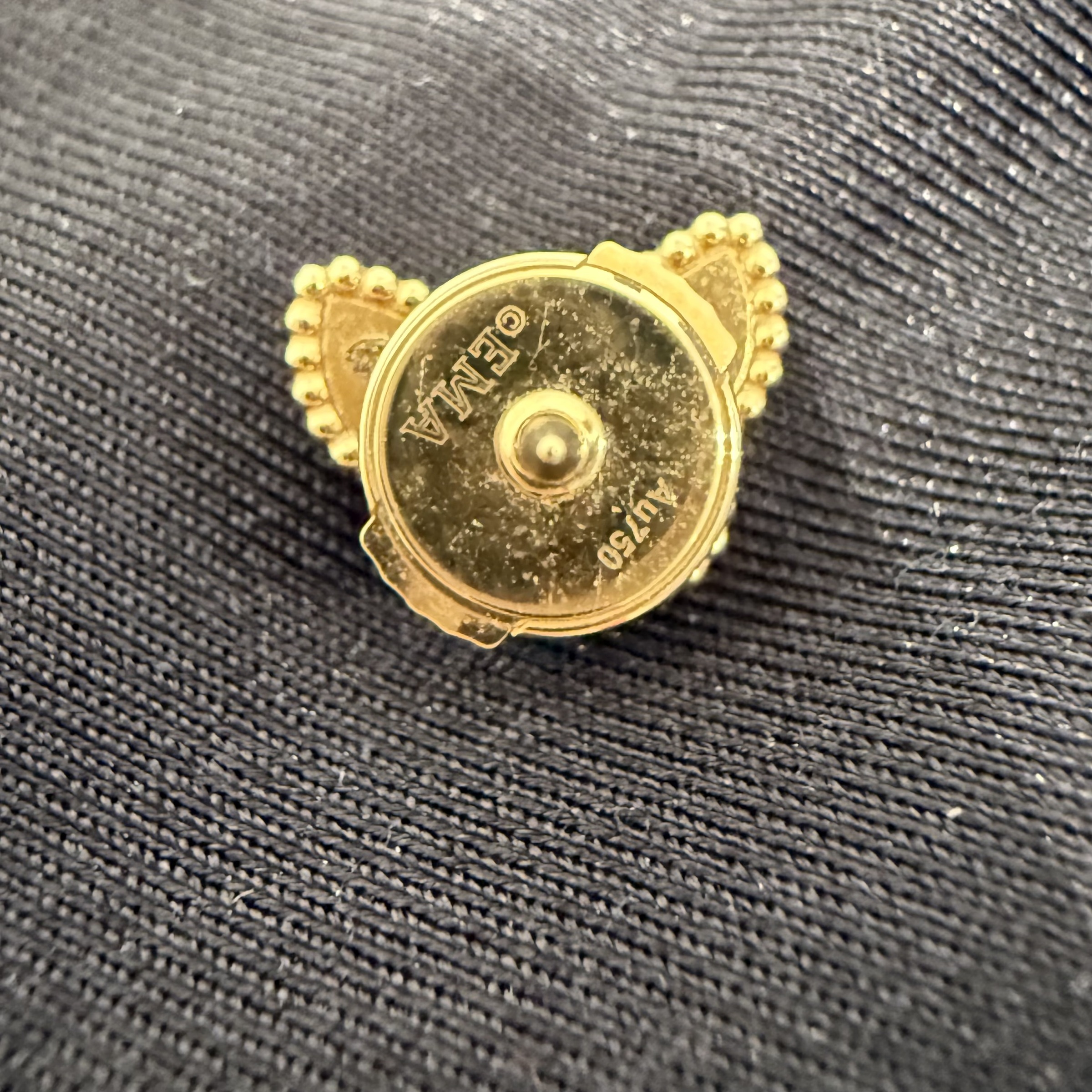 image_AAB3C654-2E77-421A-9162-47307EC52C90_1768111351