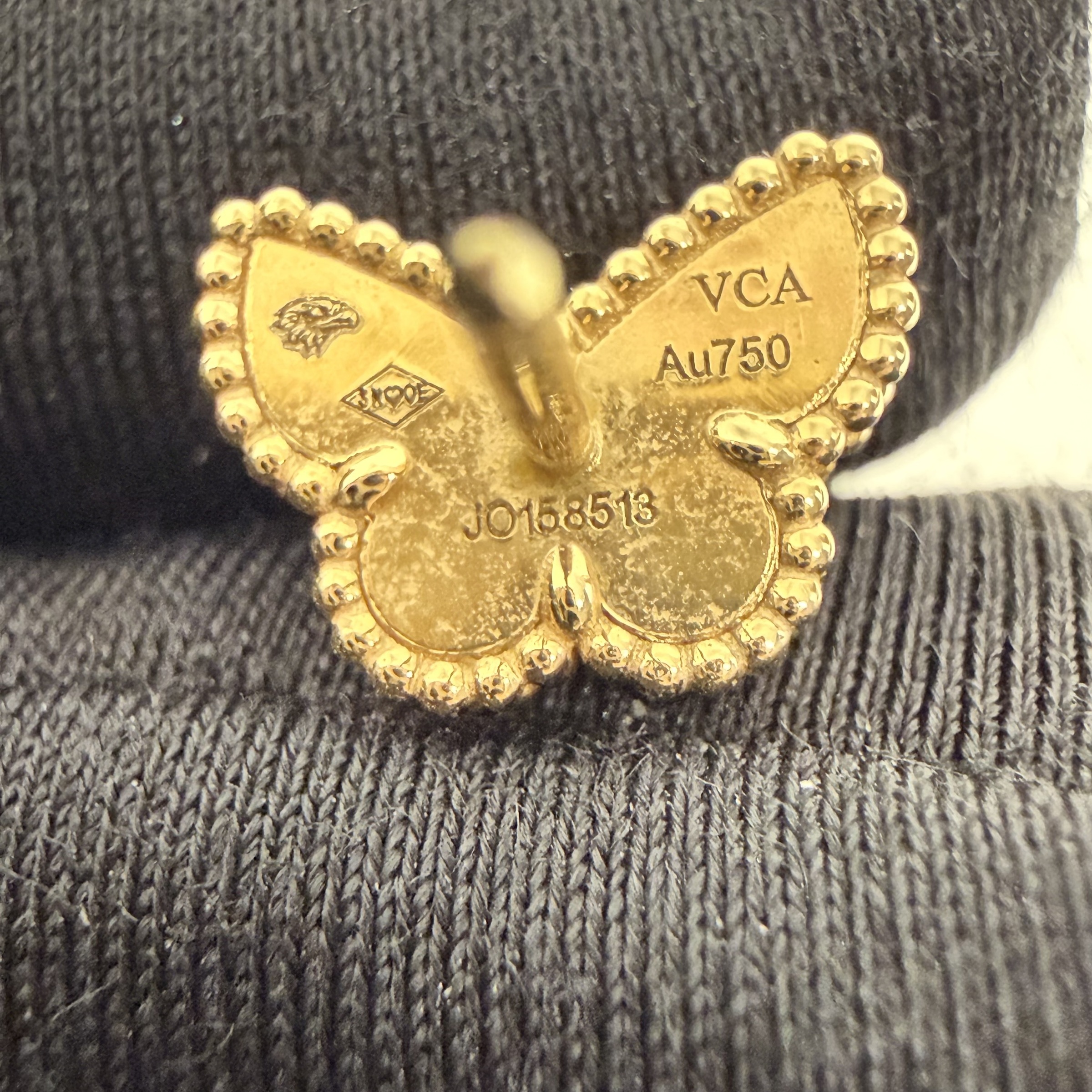 image_16EFAA52-813E-4711-B75C-DC1E08E8CB4F_1768111351