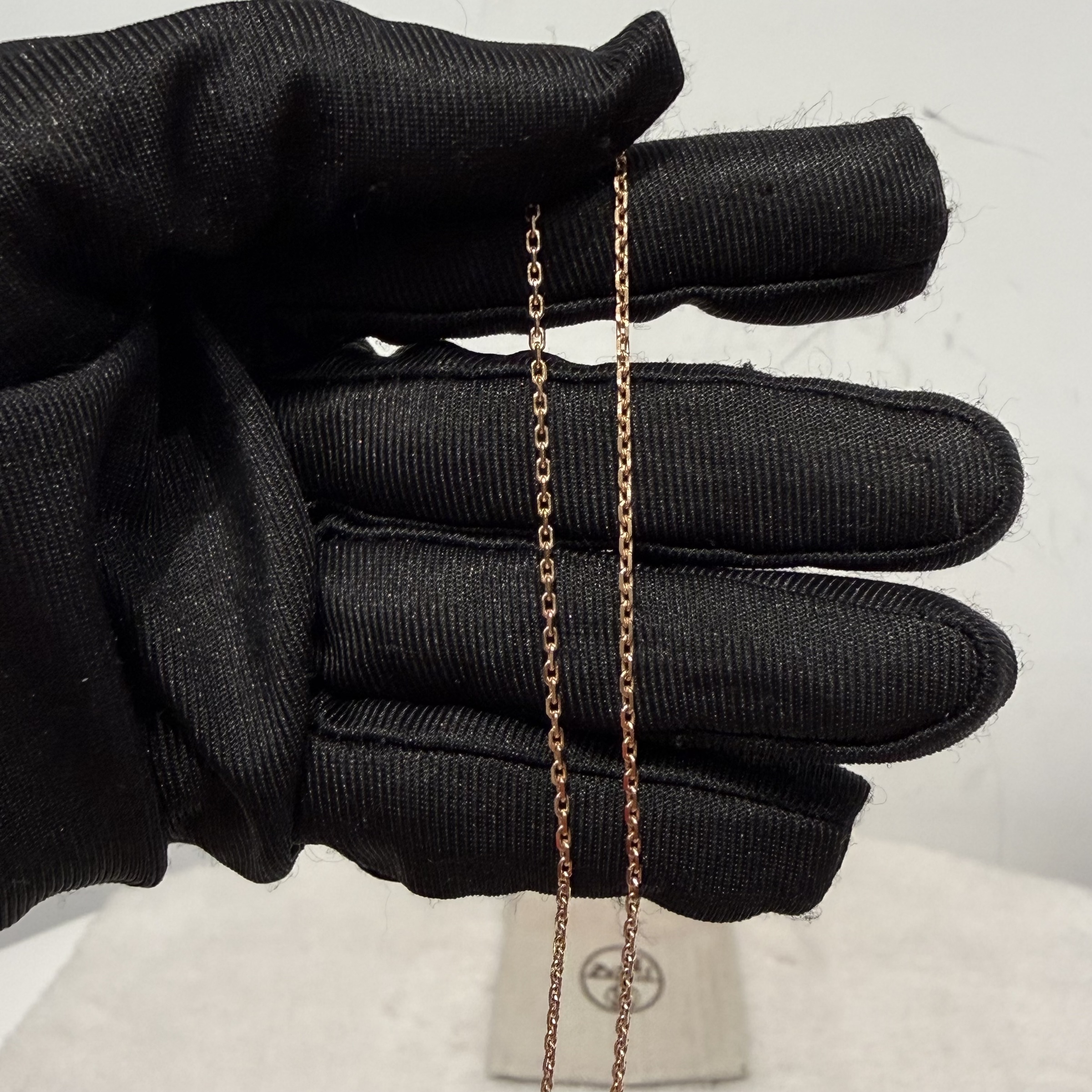 image_B86AA008-44EA-47AA-B4FF-A360D920ABDB_1768199418