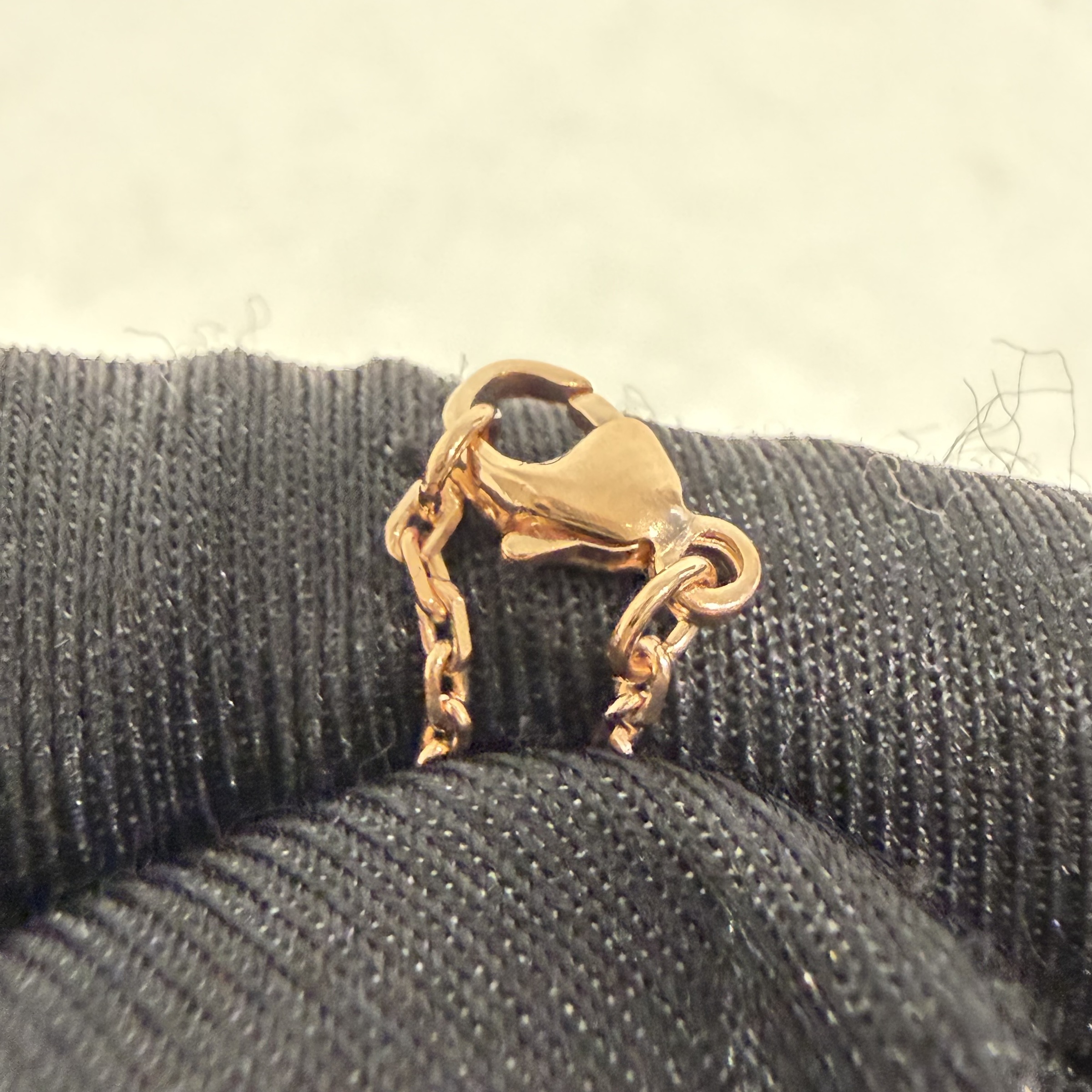 image_2F96D6CD-94AA-43F9-A68F-9FBD95349917_1768199418