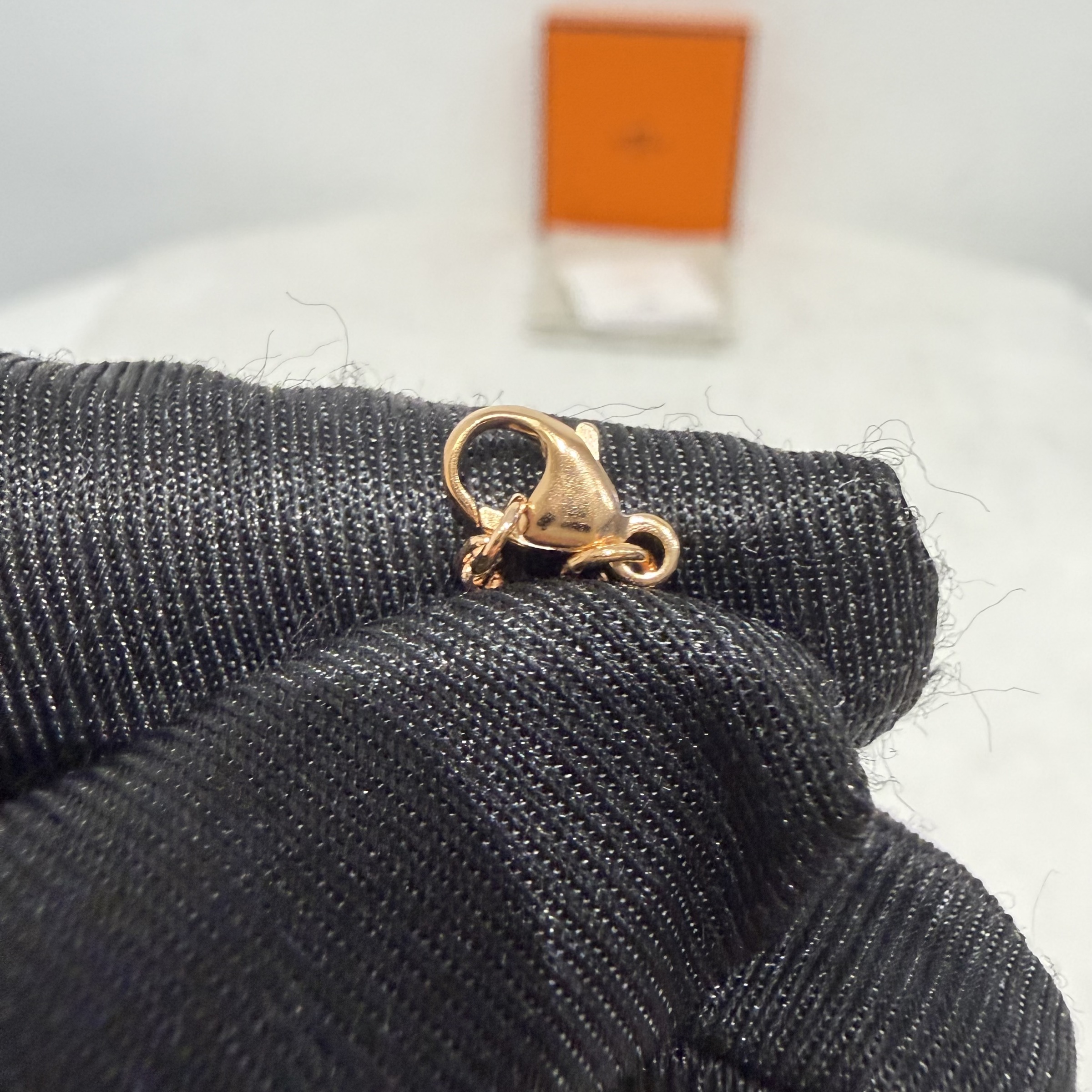 image_A50886A4-F781-4829-96FB-CE8D1E6163EC_1768199531