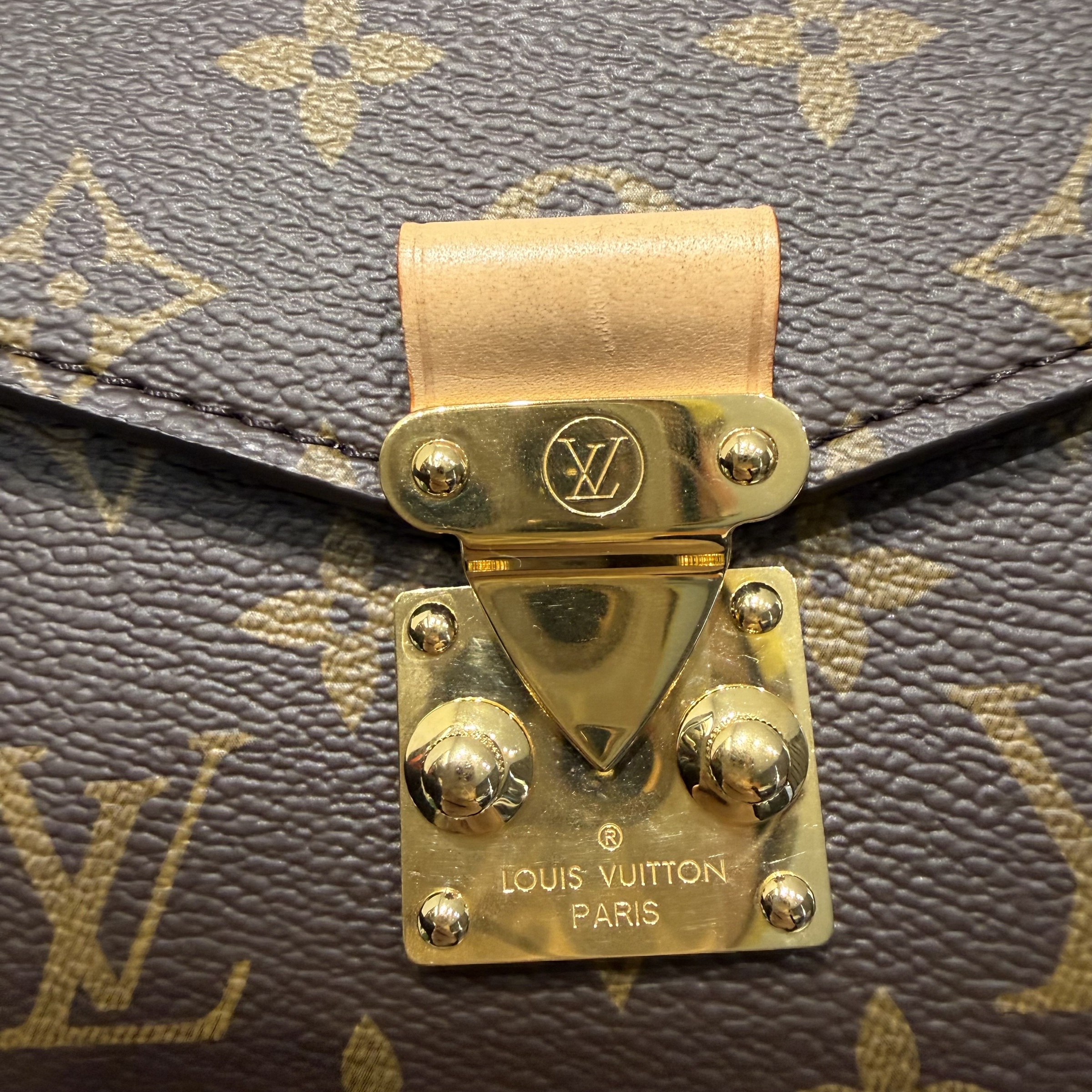 image_F0137B73-8F73-46DB-B6F1-CC604F9B1864_1768199990