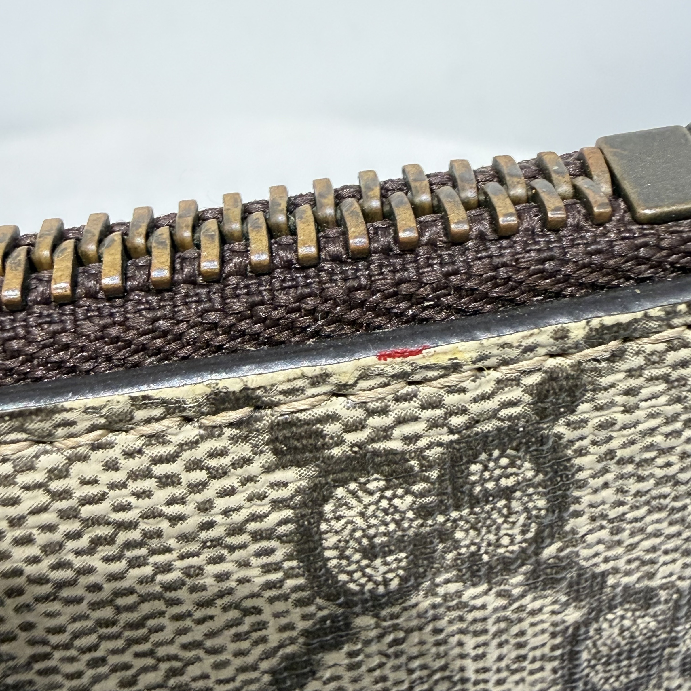 image_C5F87B49-422E-4FF7-A4A6-3CCD94C56BB2_1768200399